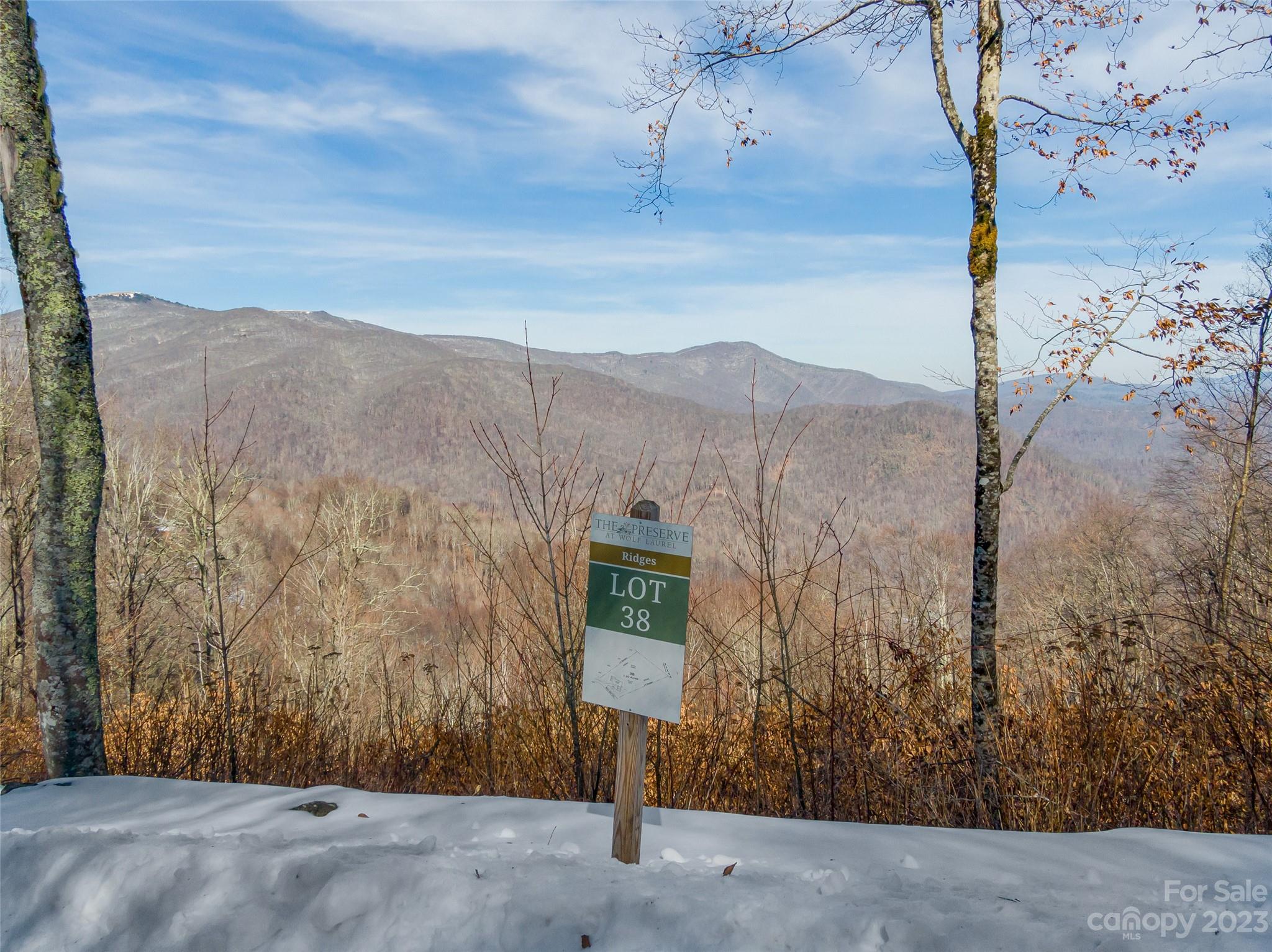 Lot 38 Black Bear Run