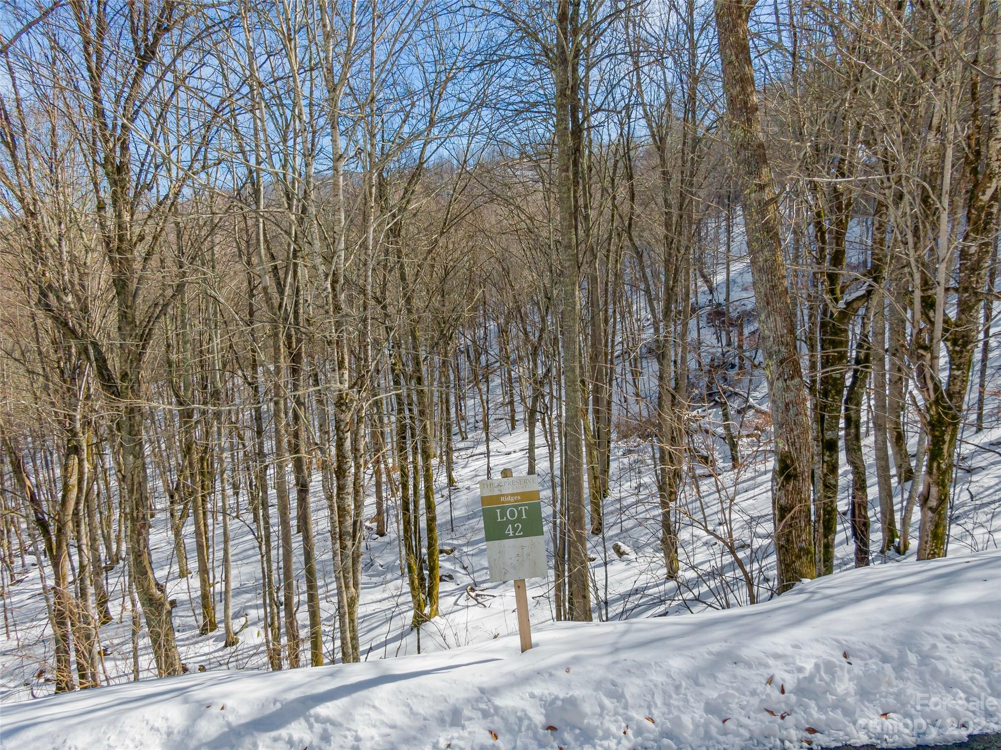 Lot 42 Black Bear Run