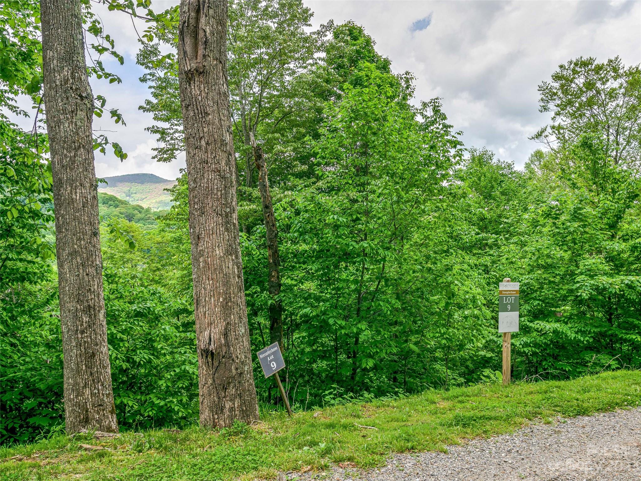 Lot at Lot 9 Mountain Gait Drive, Mars Hill, photo 12 of 44