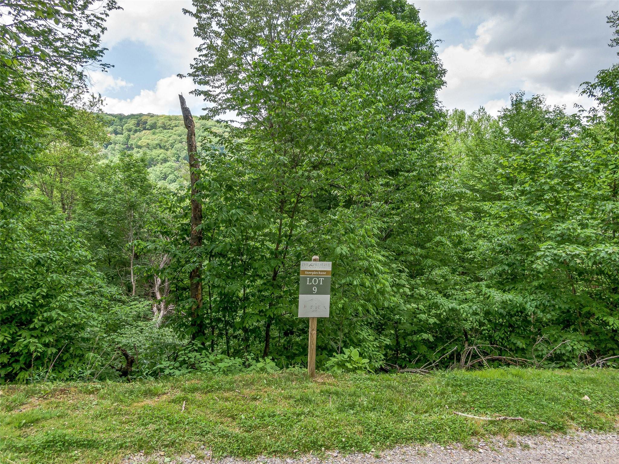Lot at Lot 9 Mountain Gait Drive, Mars Hill, photo 15 of 44