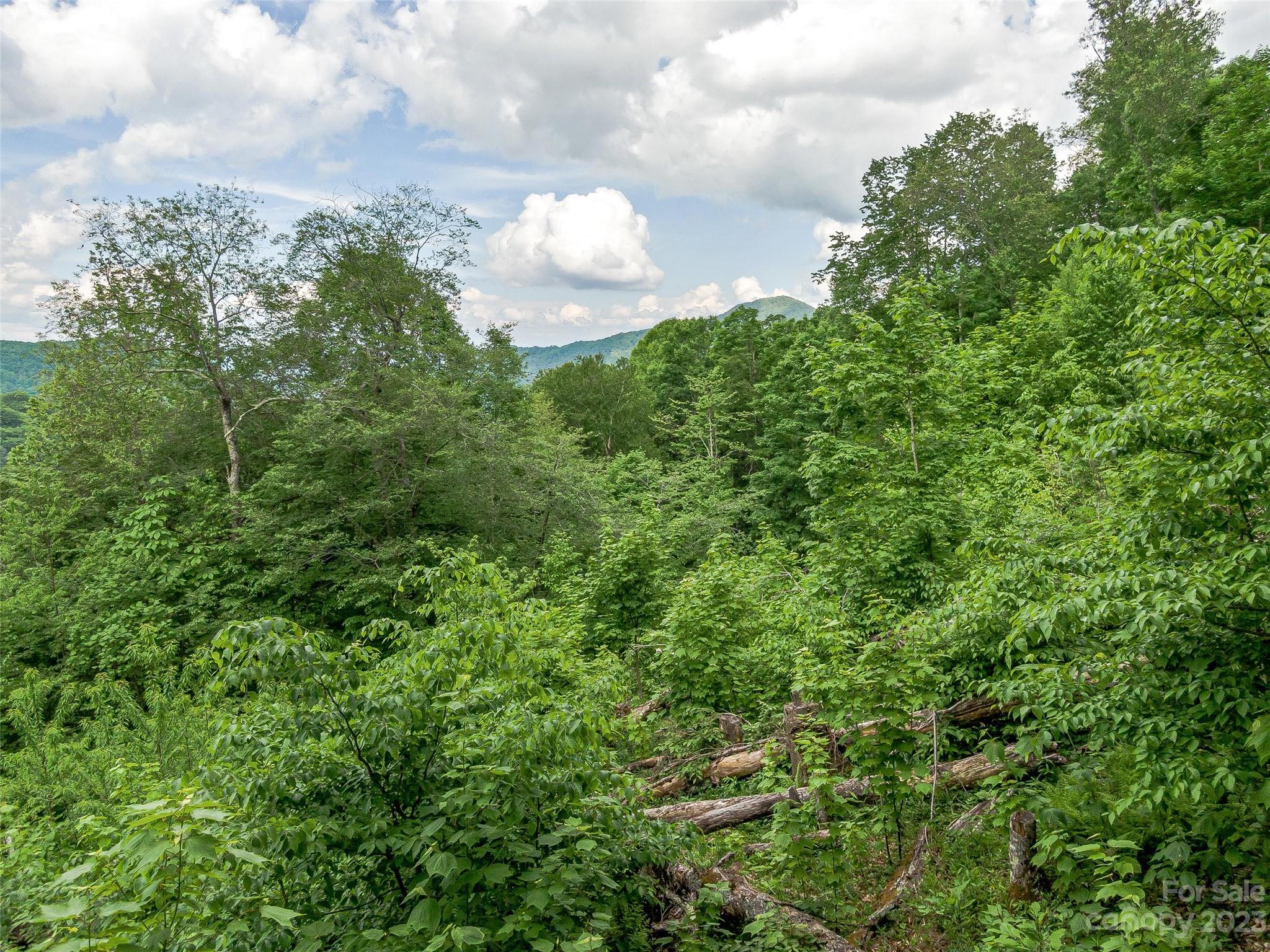 Lot at Lot 9 Mountain Gait Drive, Mars Hill, photo 23 of 44
