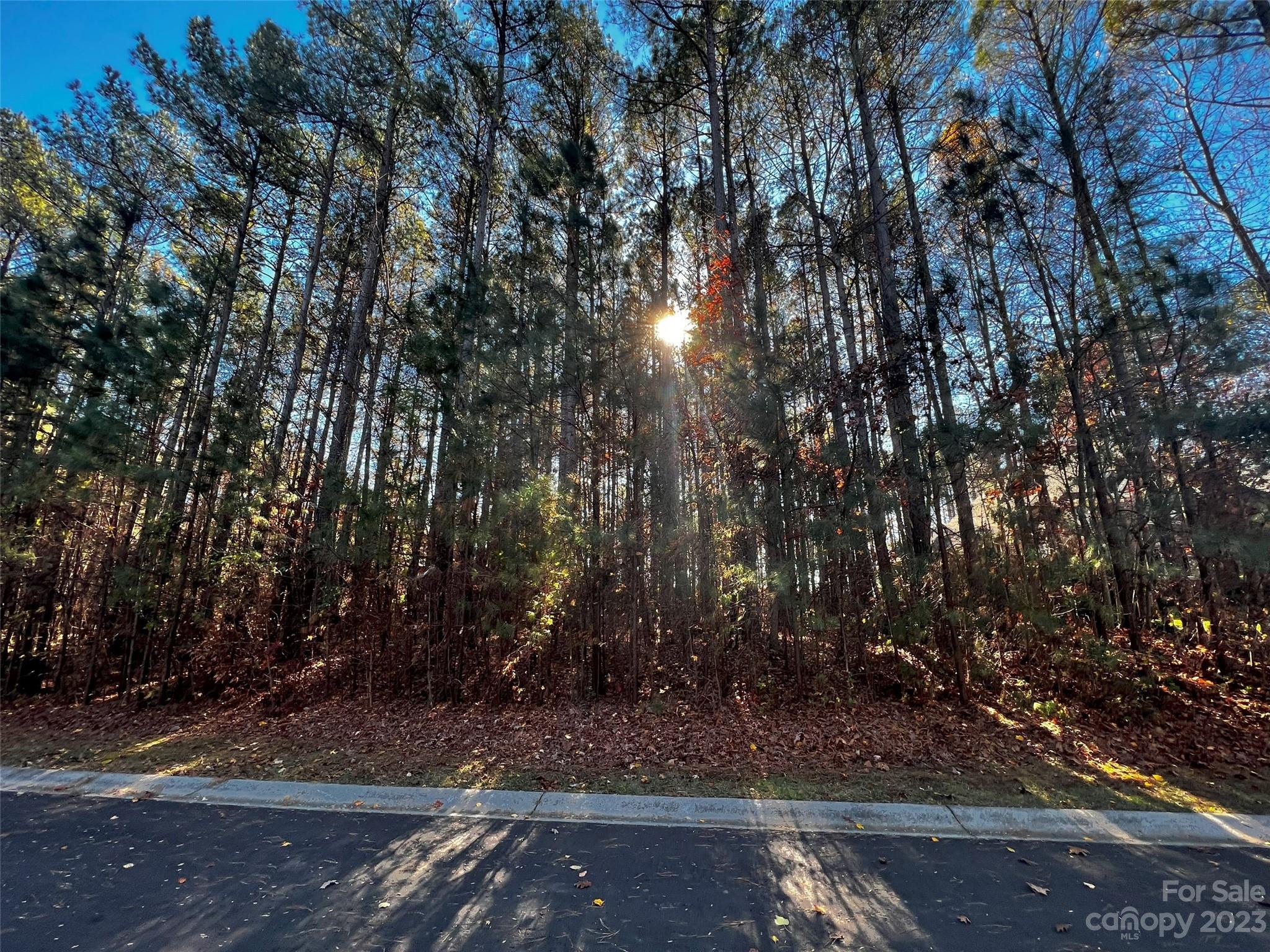 Lot at 129 Sleepy Cove Trail, Mooresville, photo 2 of 11