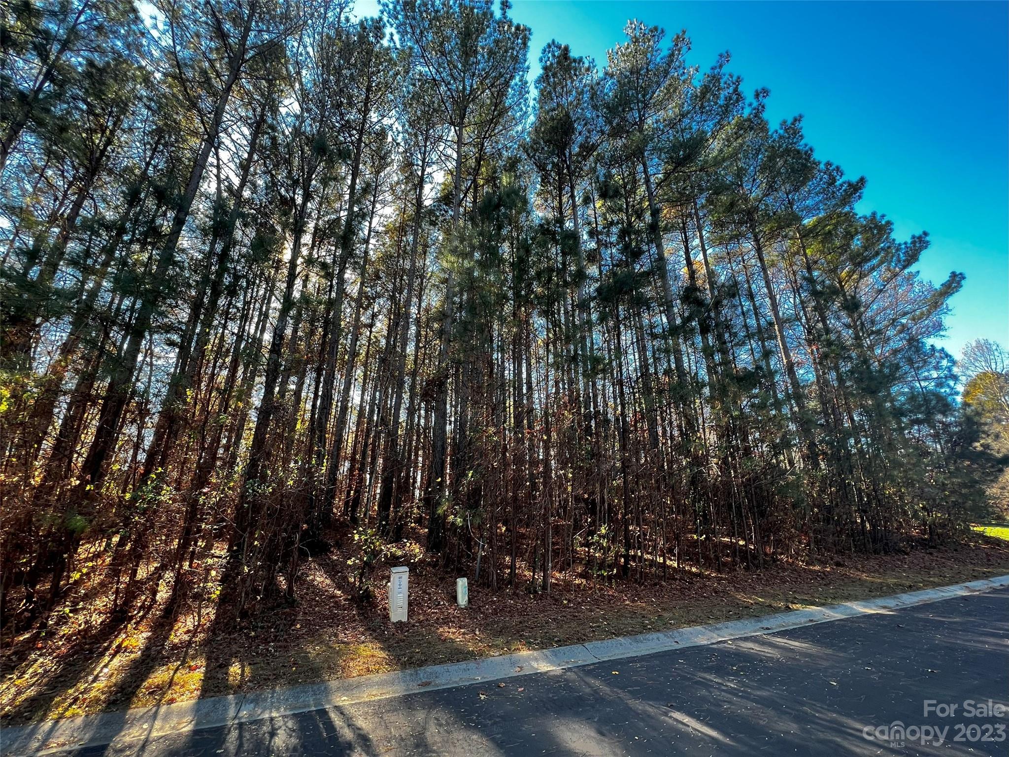 Lot at 129 Sleepy Cove Trail, Mooresville, photo 3 of 11
