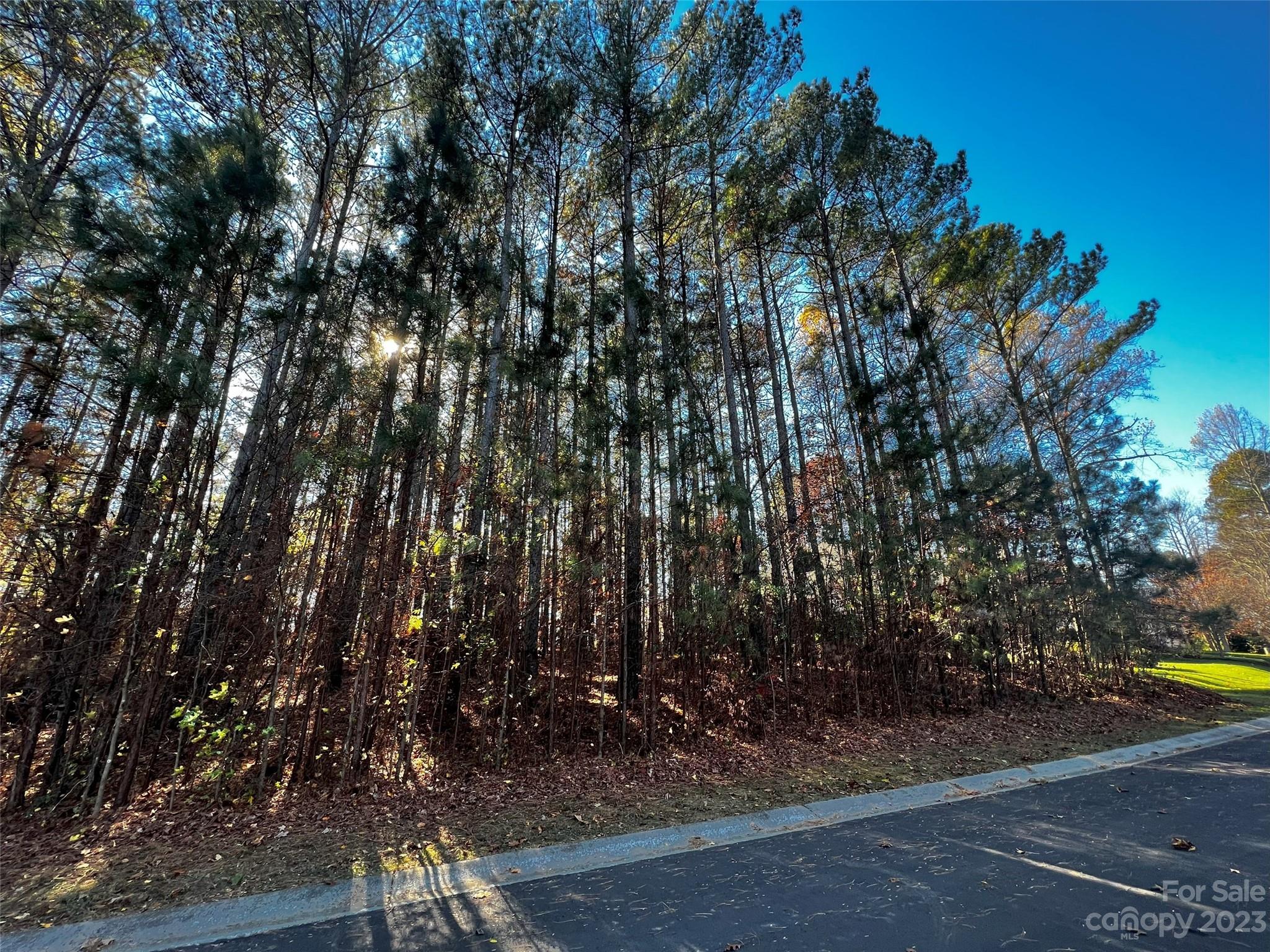 Lot at 129 Sleepy Cove Trail, Mooresville, photo 5 of 11