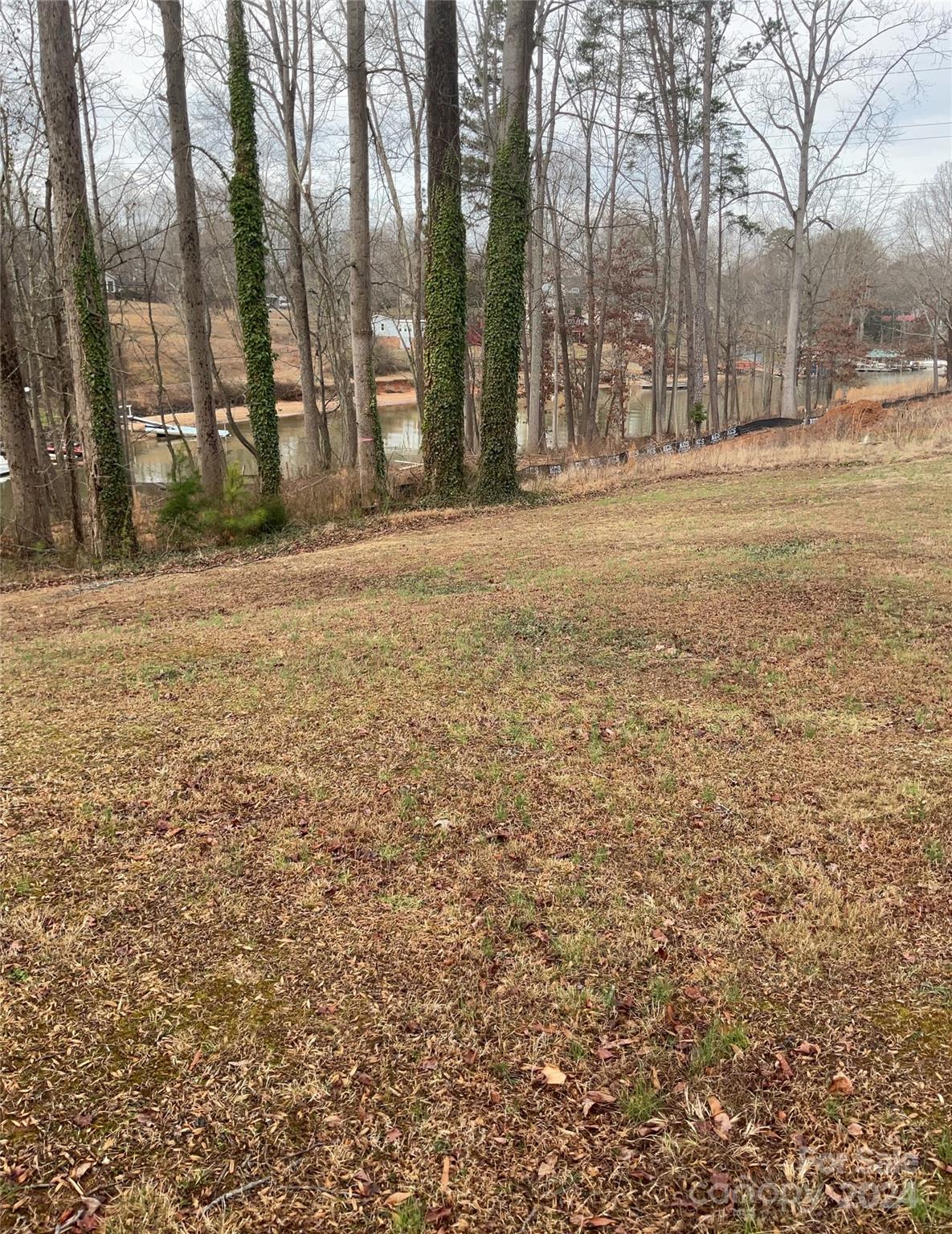 Lot at Lot 1 Wildlife Lane, Sherrills Ford, photo 9 of 17