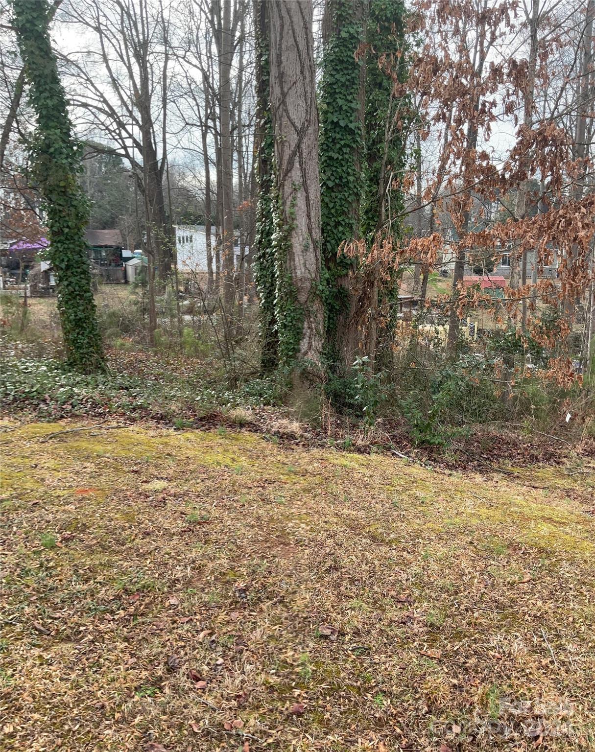 Lot at Lot 1 Wildlife Lane, Sherrills Ford, photo 11 of 17