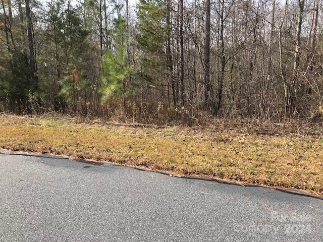 Lot at 00 Woodstock Lane, Rutherfordton, photo 5 of 10