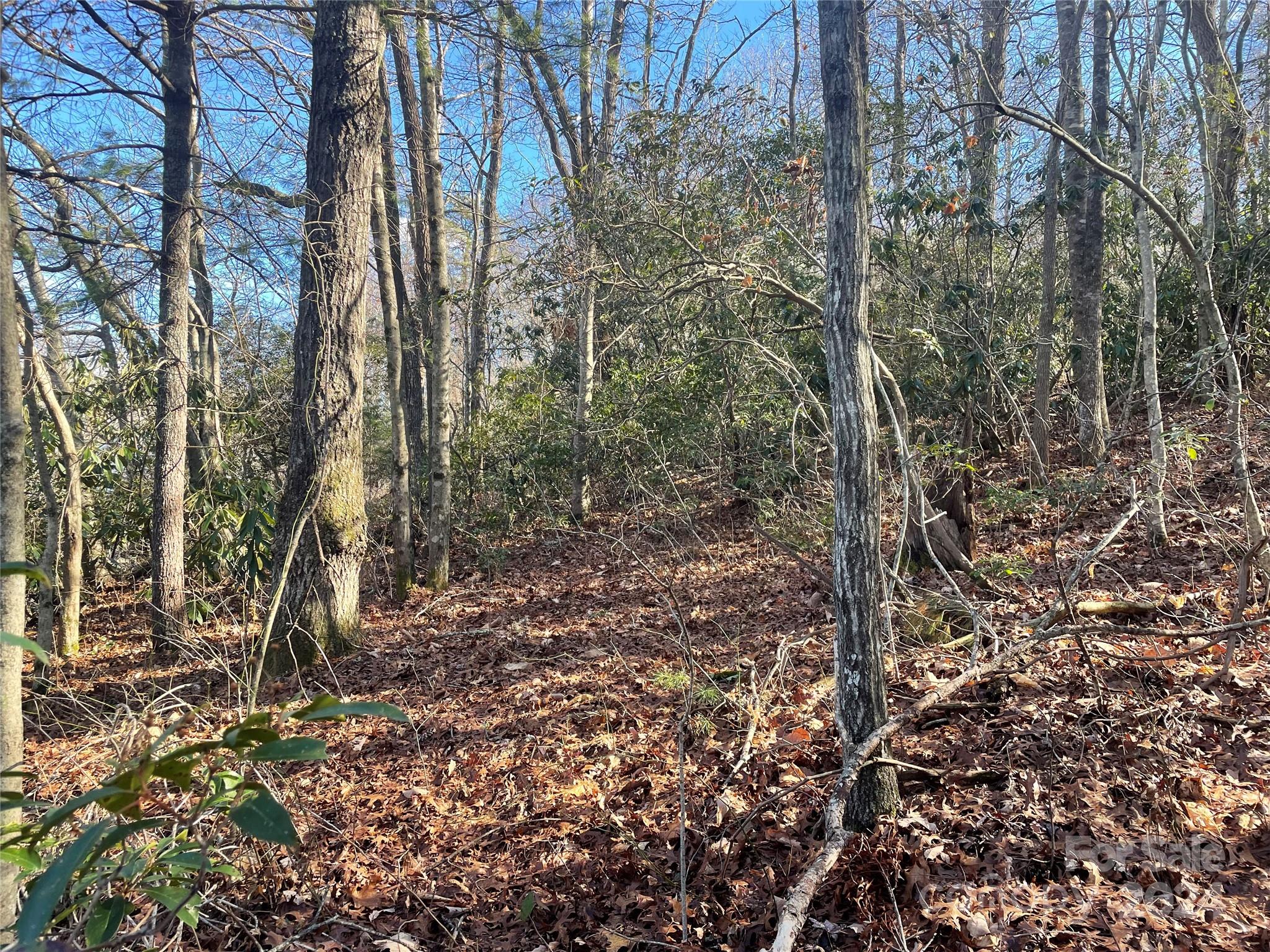 Lot at 146 Center Street, Black Mountain, photo 4 of 14