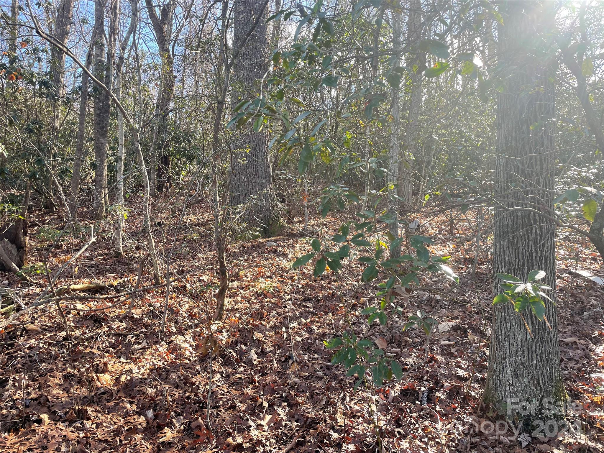 Lot at 146 Center Street, Black Mountain, photo 5 of 14