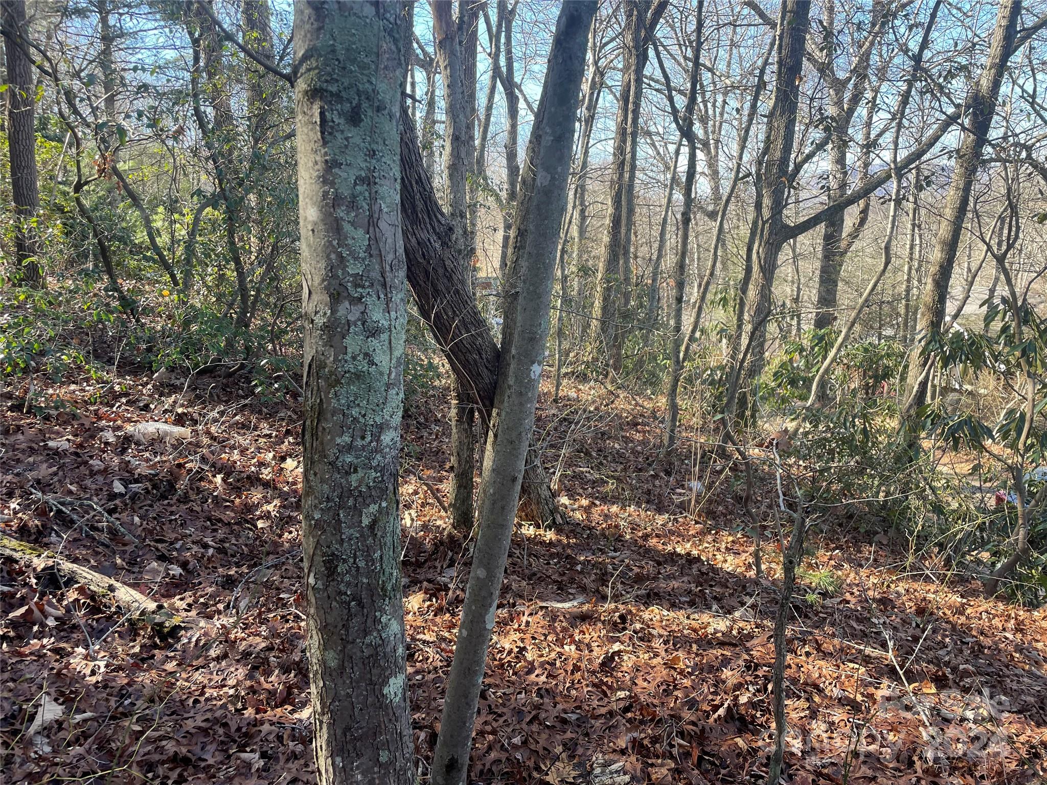 Lot at 146 Center Street, Black Mountain, photo 6 of 14
