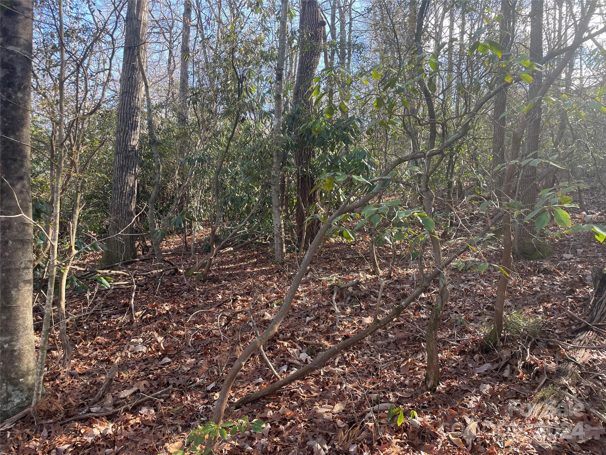 Lot at 146 Center Street, Black Mountain, photo 7 of 14