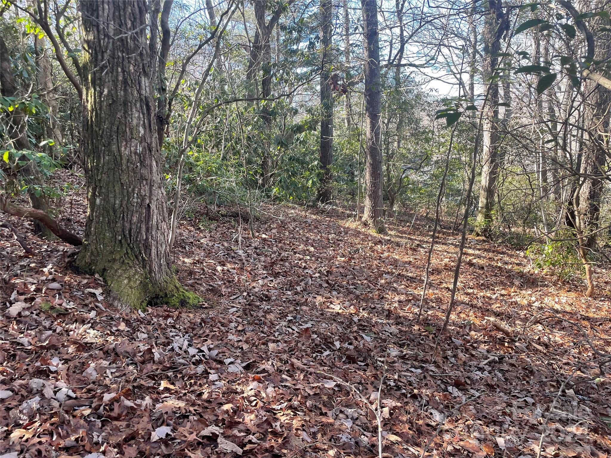 Lot at 146 Center Street, Black Mountain, photo 8 of 14