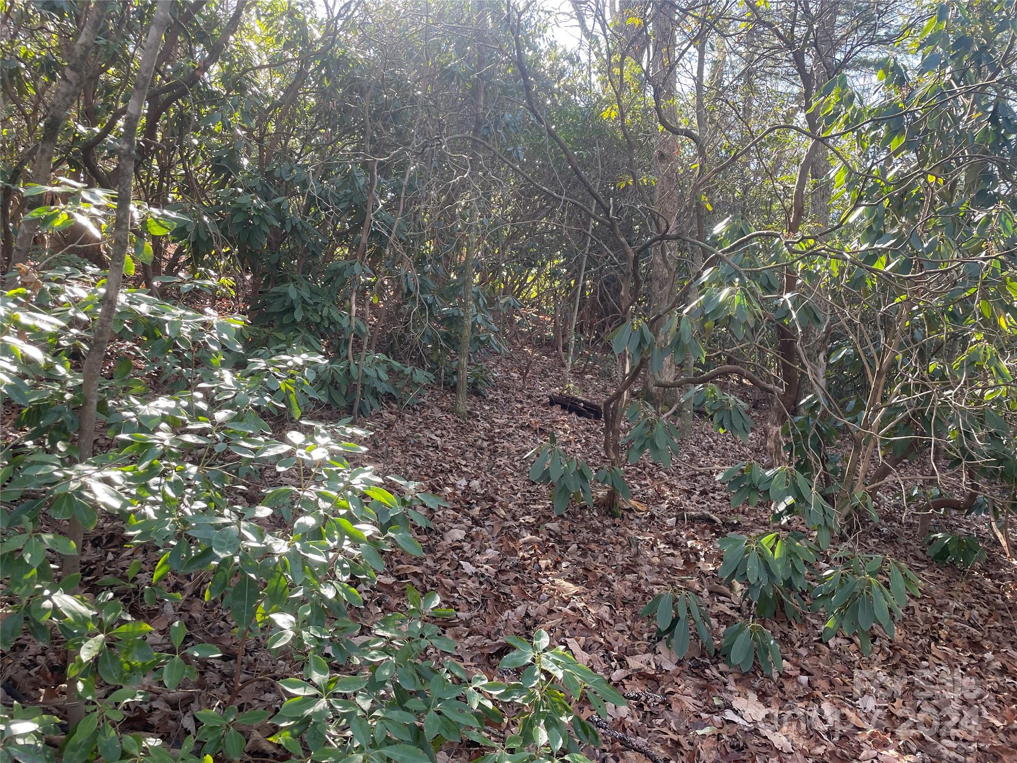 Lot at 146 Center Street, Black Mountain, photo 9 of 14