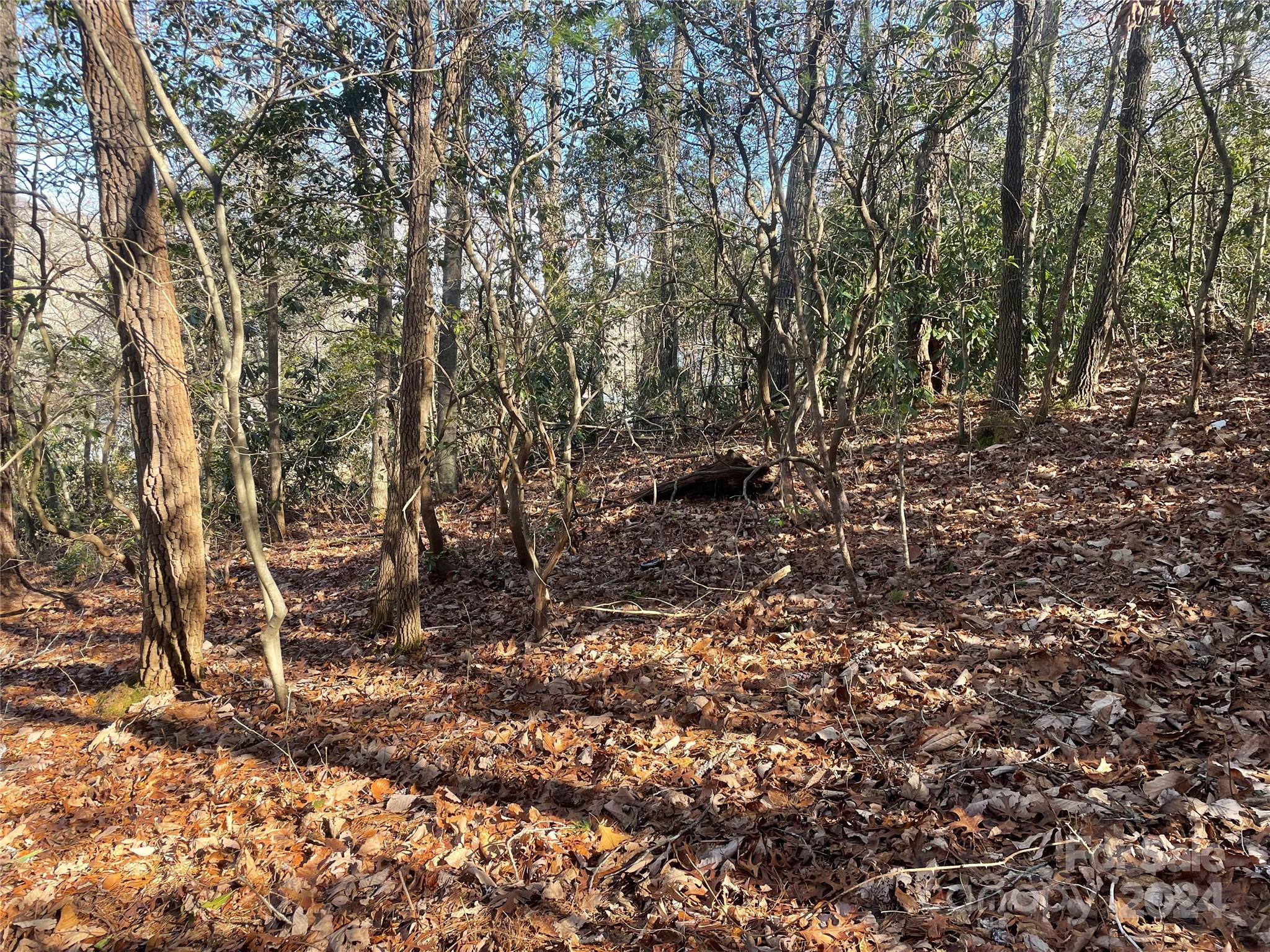 Lot at 146 Center Street, Black Mountain, photo 11 of 14