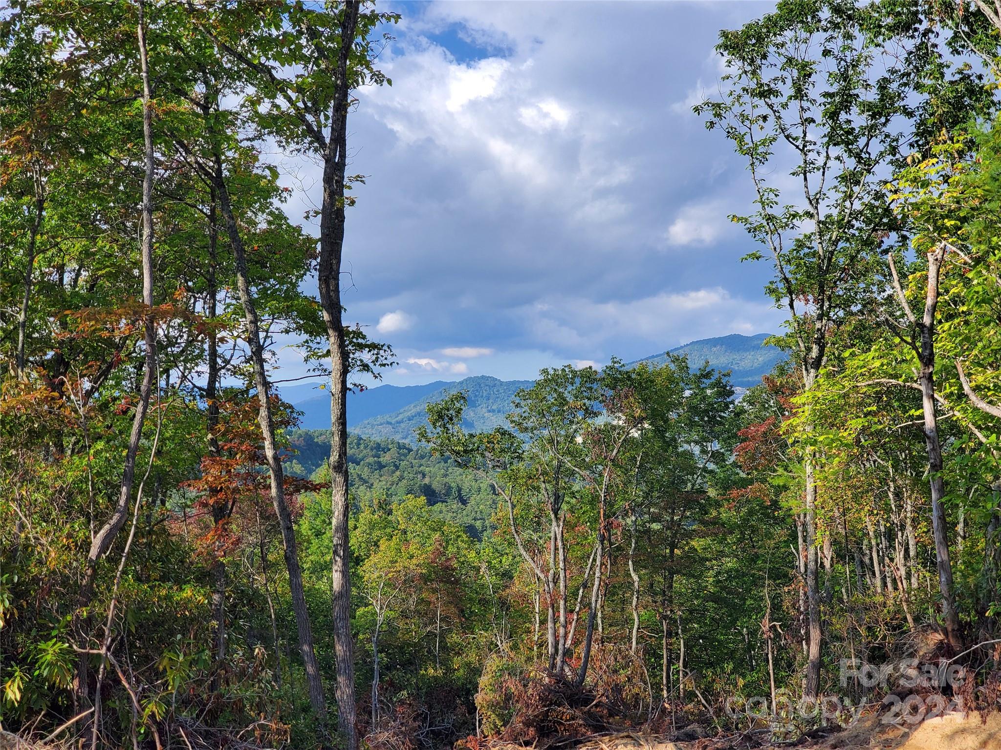 Acreage at TBD Parkwood Hill Road, Spruce Pine, photo 34 of 48
