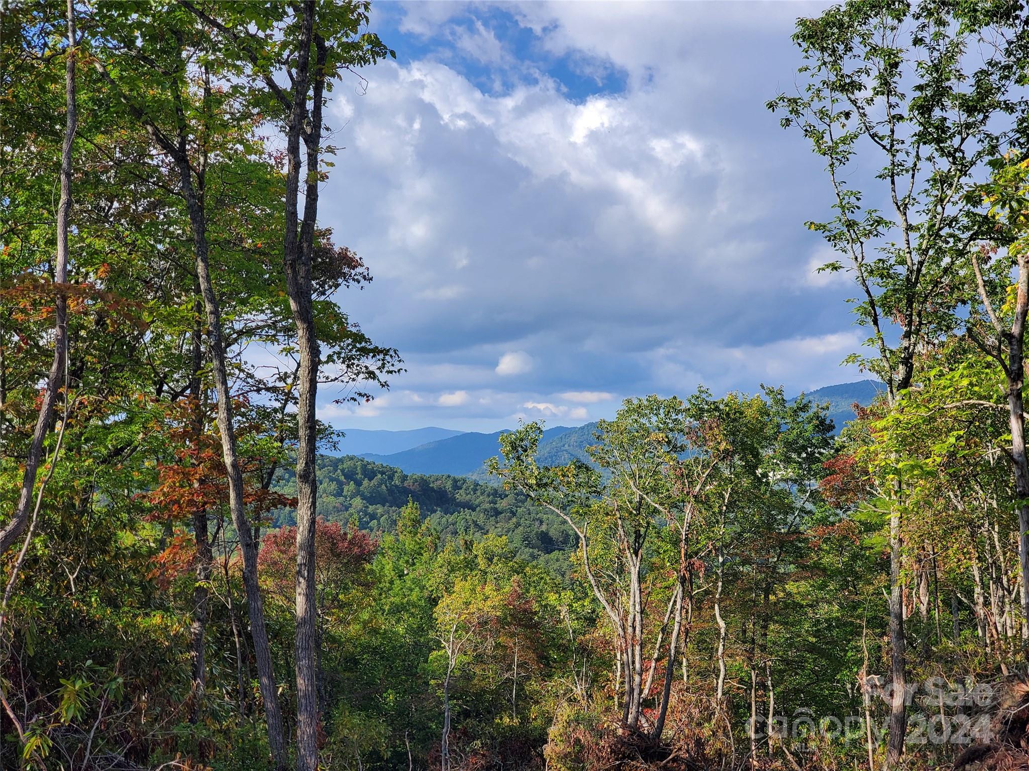 Acreage at TBD Parkwood Hill Road, Spruce Pine, photo 35 of 48