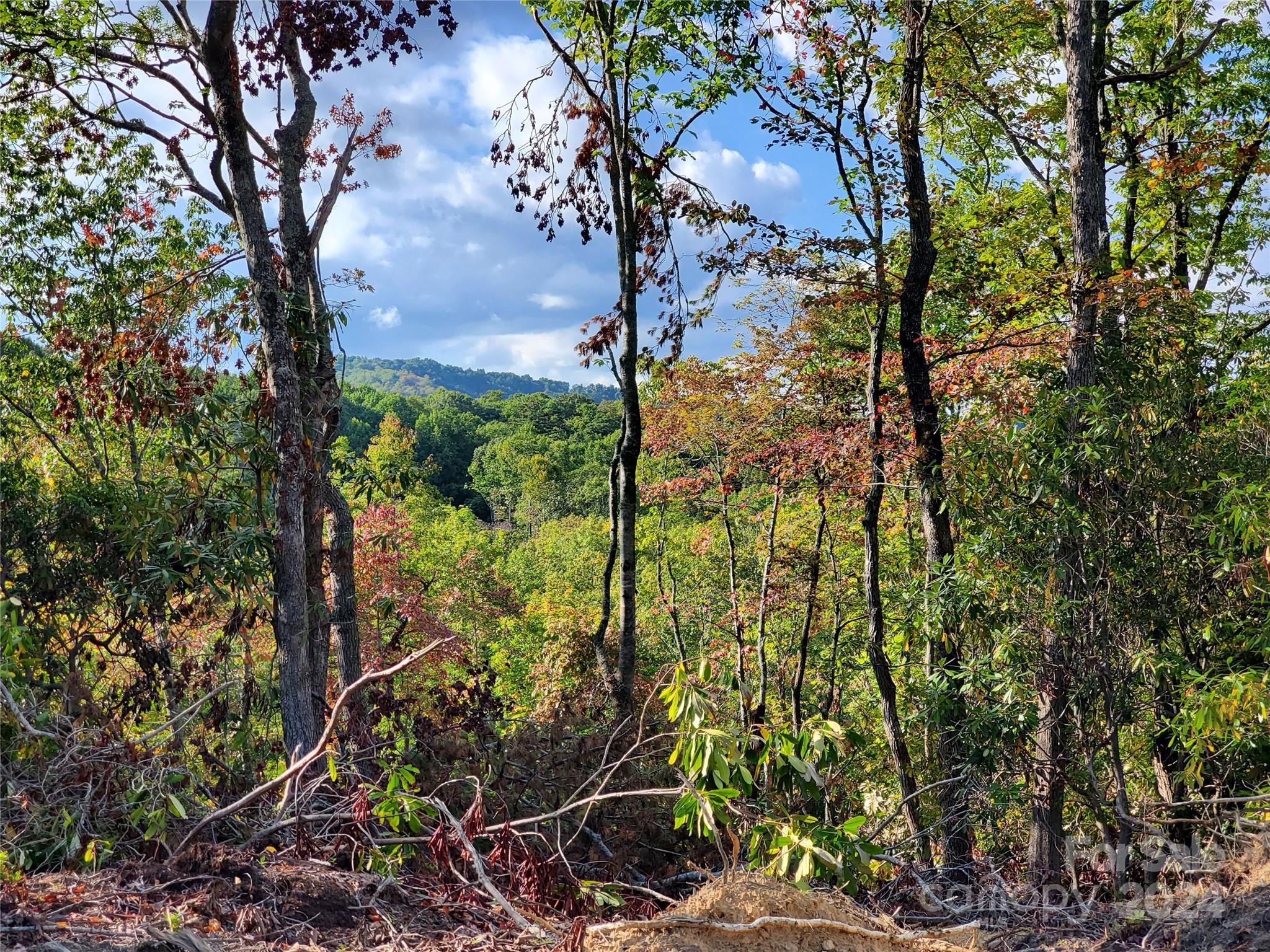 Acreage at TBD Parkwood Hill Road, Spruce Pine, photo 36 of 48
