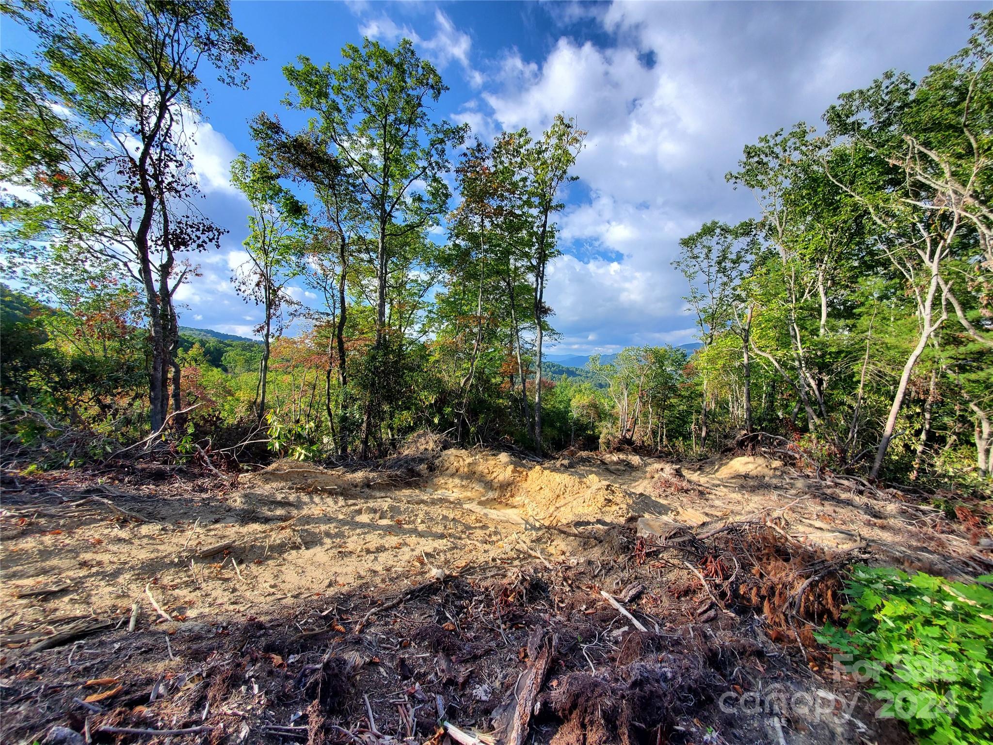 Acreage at TBD Parkwood Hill Road, Spruce Pine, photo 37 of 48