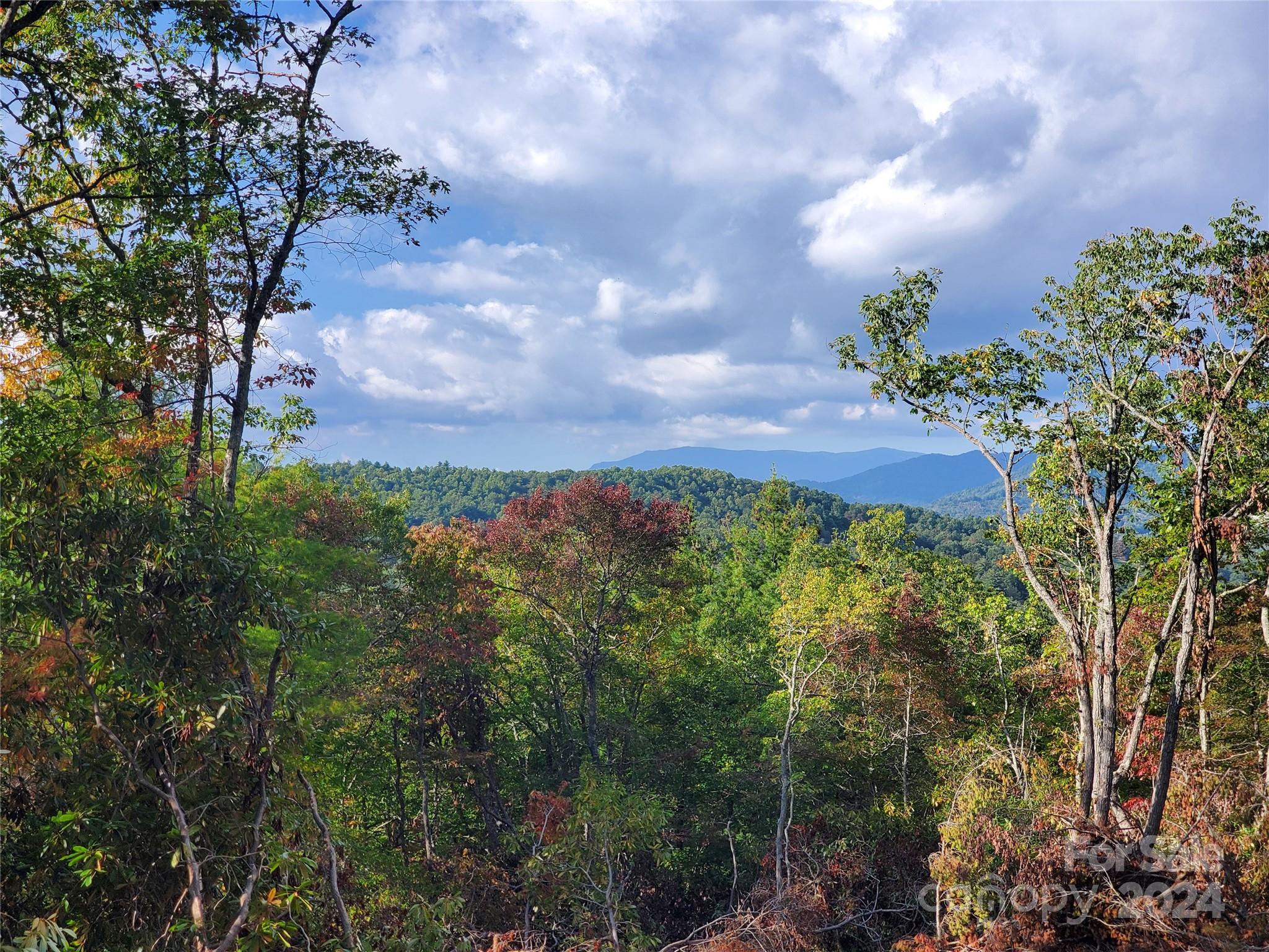 Acreage at TBD Parkwood Hill Road, Spruce Pine, photo 3 of 48