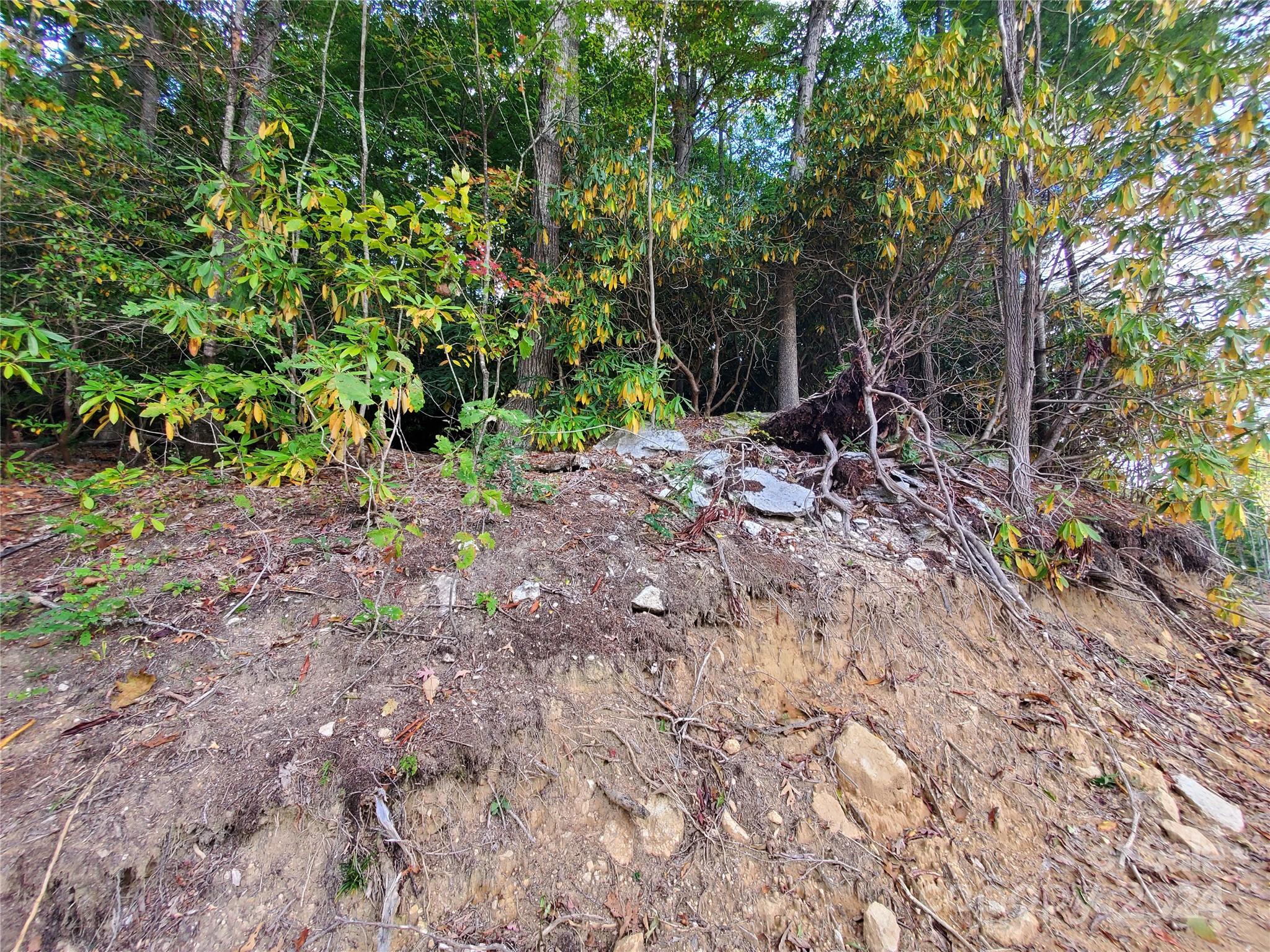 Acreage at TBD Parkwood Hill Road, Spruce Pine, photo 47 of 48