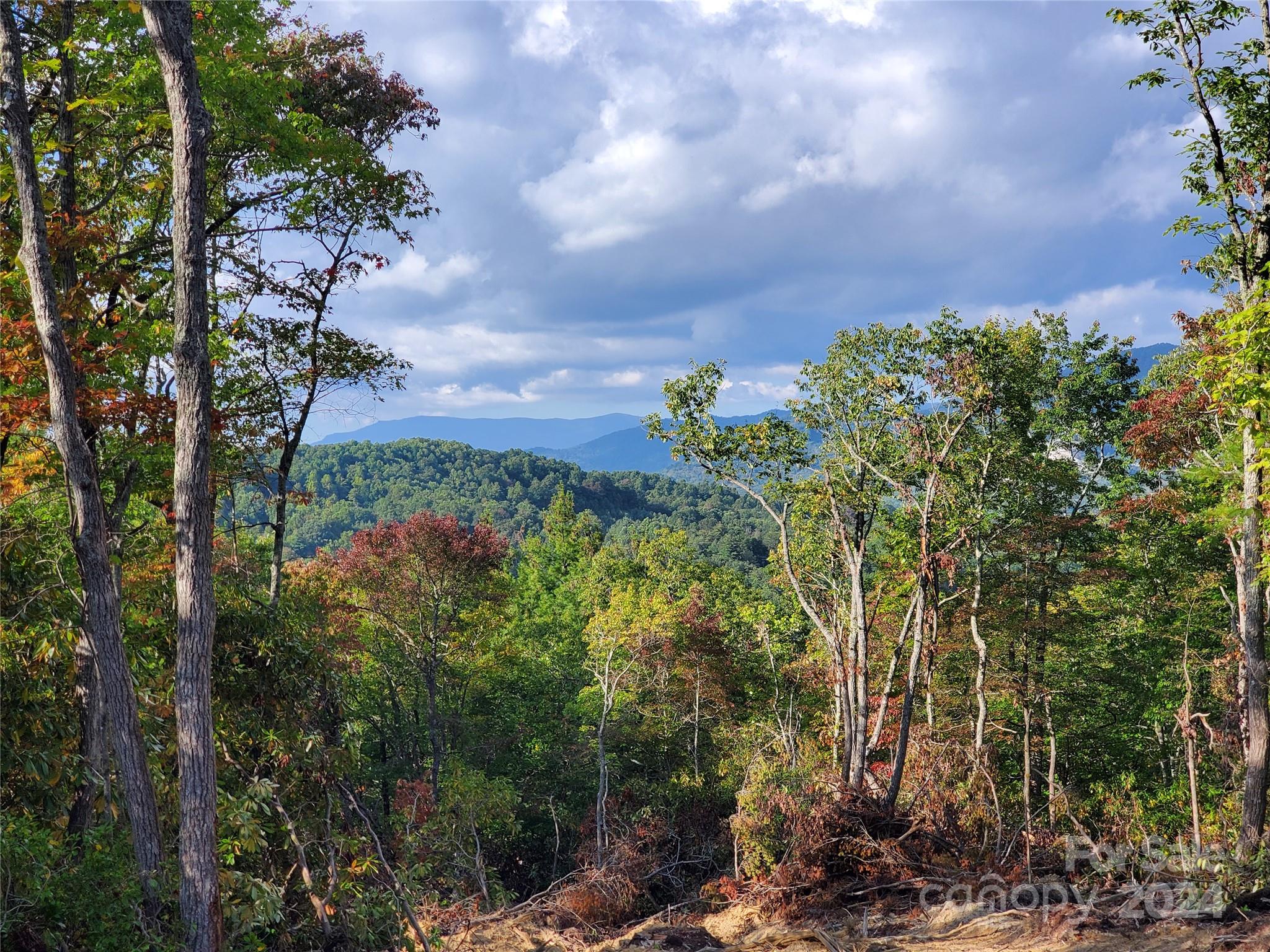 Acreage at TBD Parkwood Hill Road, Spruce Pine, photo 4 of 48
