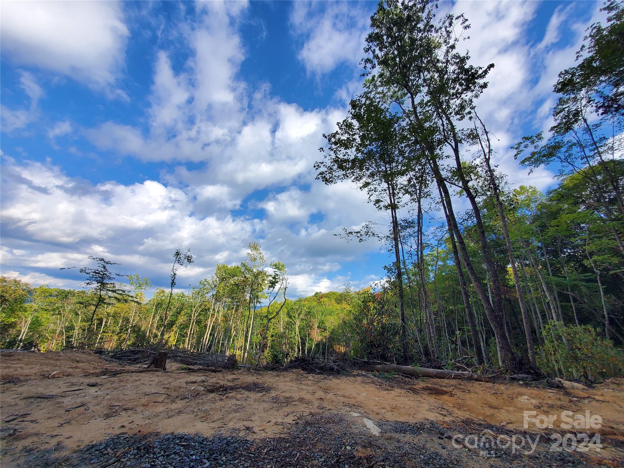 Acreage at TBD Parkwood Hill Road, Spruce Pine, photo 6 of 48