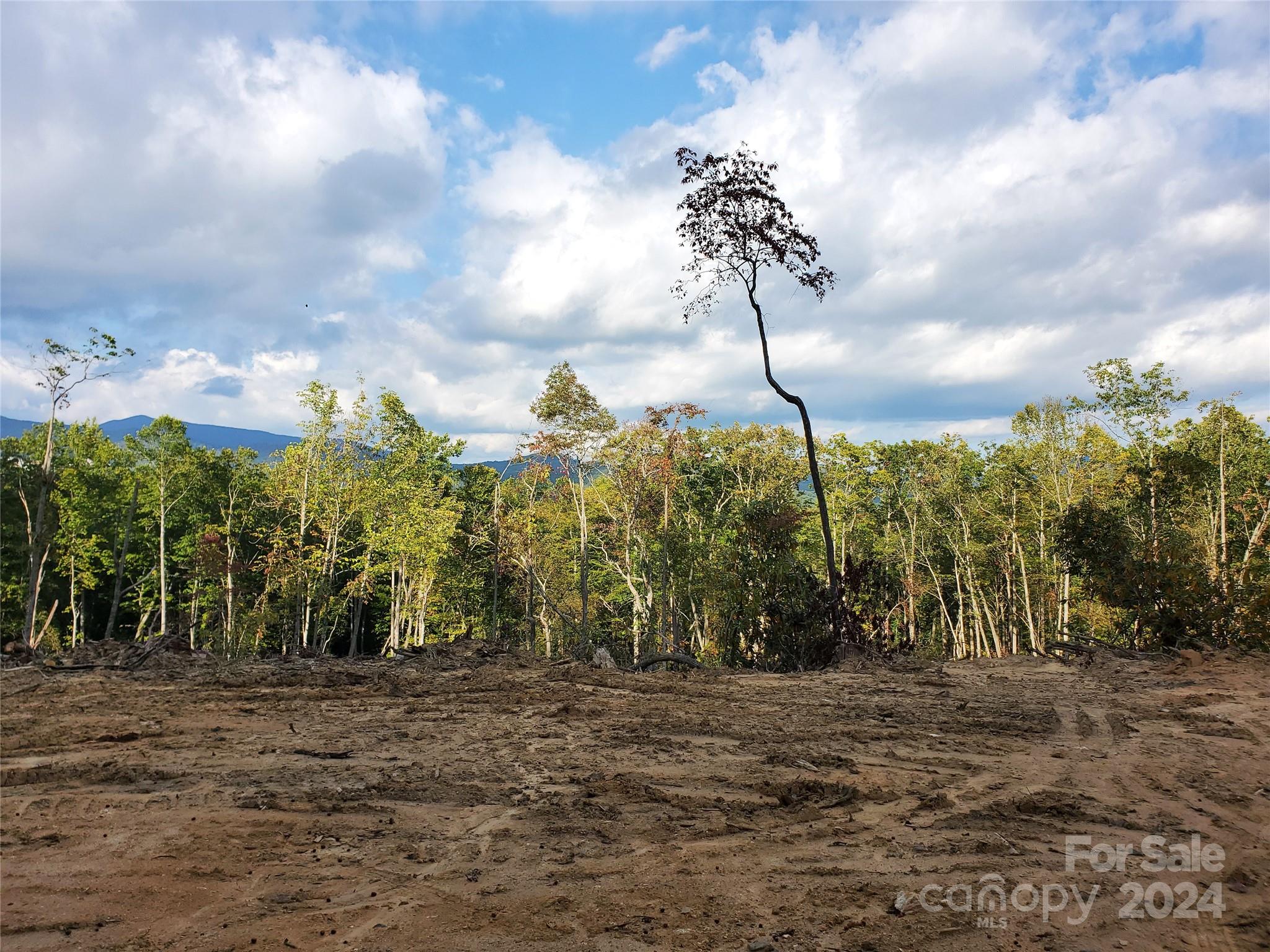 Acreage at TBD Parkwood Hill Road, Spruce Pine, photo 10 of 48