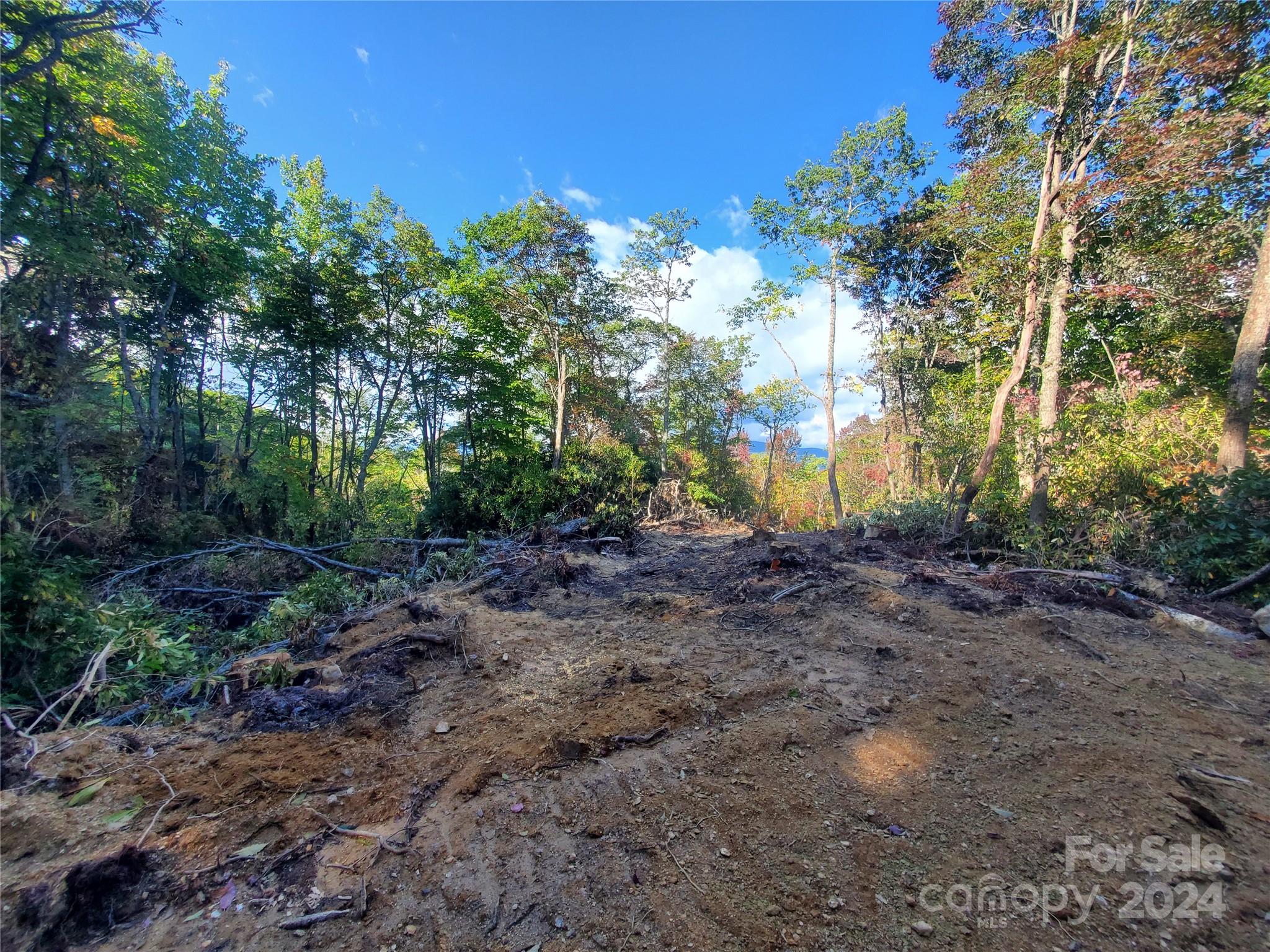 Acreage at TBD Parkwood Hill Road, Spruce Pine, photo 12 of 48