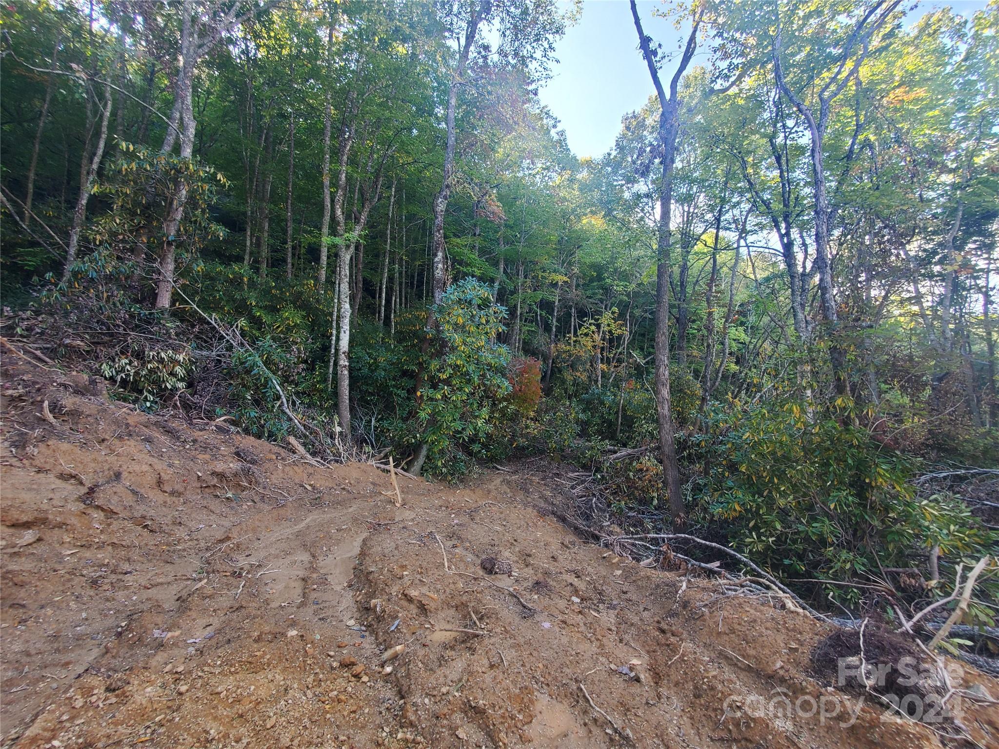 Acreage at TBD Parkwood Hill Road, Spruce Pine, photo 14 of 48
