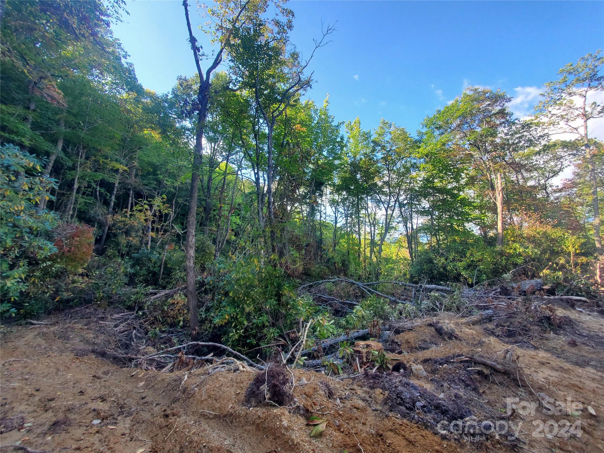 Acreage at TBD Parkwood Hill Road, Spruce Pine, photo 15 of 48