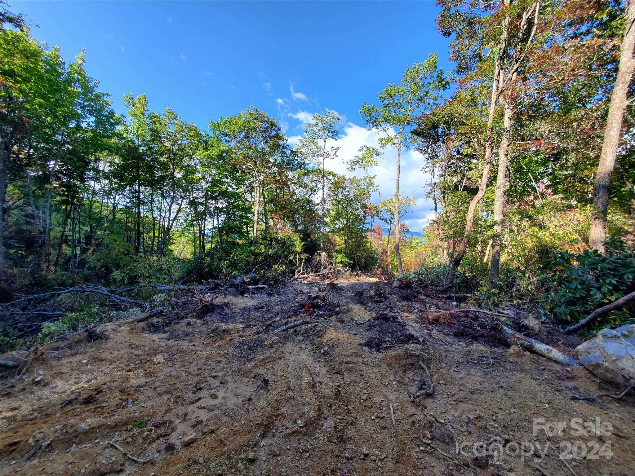 Acreage at TBD Parkwood Hill Road, Spruce Pine, photo 18 of 48