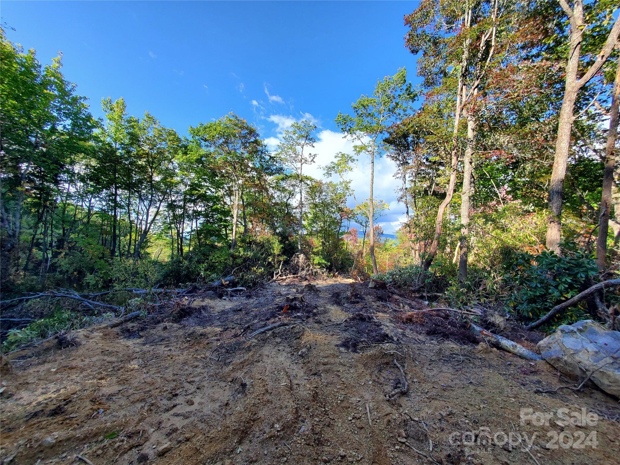 Acreage at TBD Parkwood Hill Road, Spruce Pine, photo 21 of 48