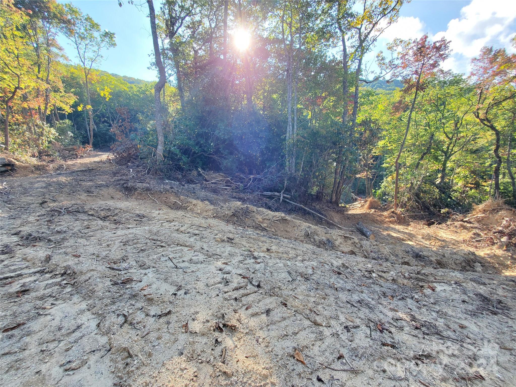 Acreage at TBD Parkwood Hill Road, Spruce Pine, photo 22 of 48