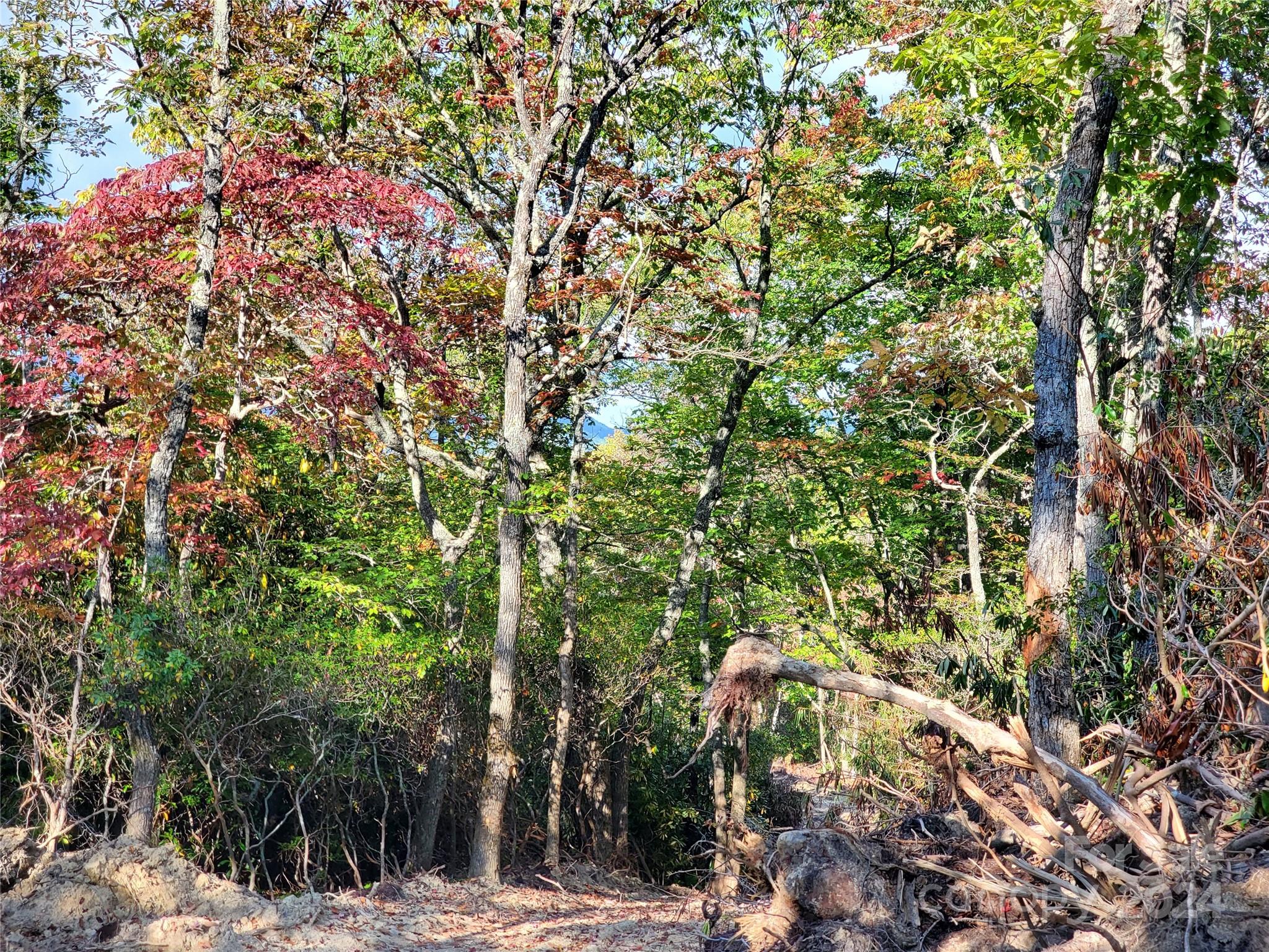 Acreage at TBD Parkwood Hill Road, Spruce Pine, photo 28 of 48