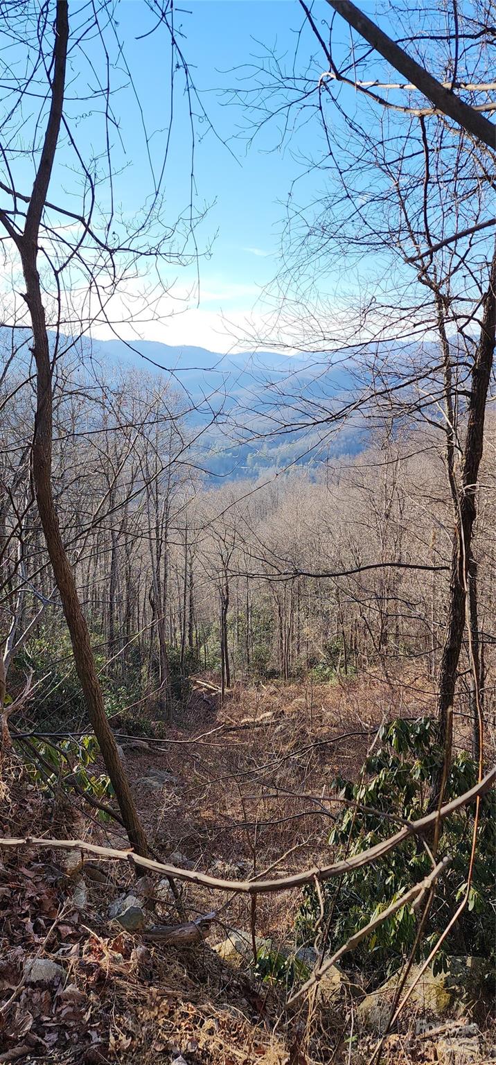 Lot at 9999 Still Spring Road, Black Mountain, photo 2 of 11