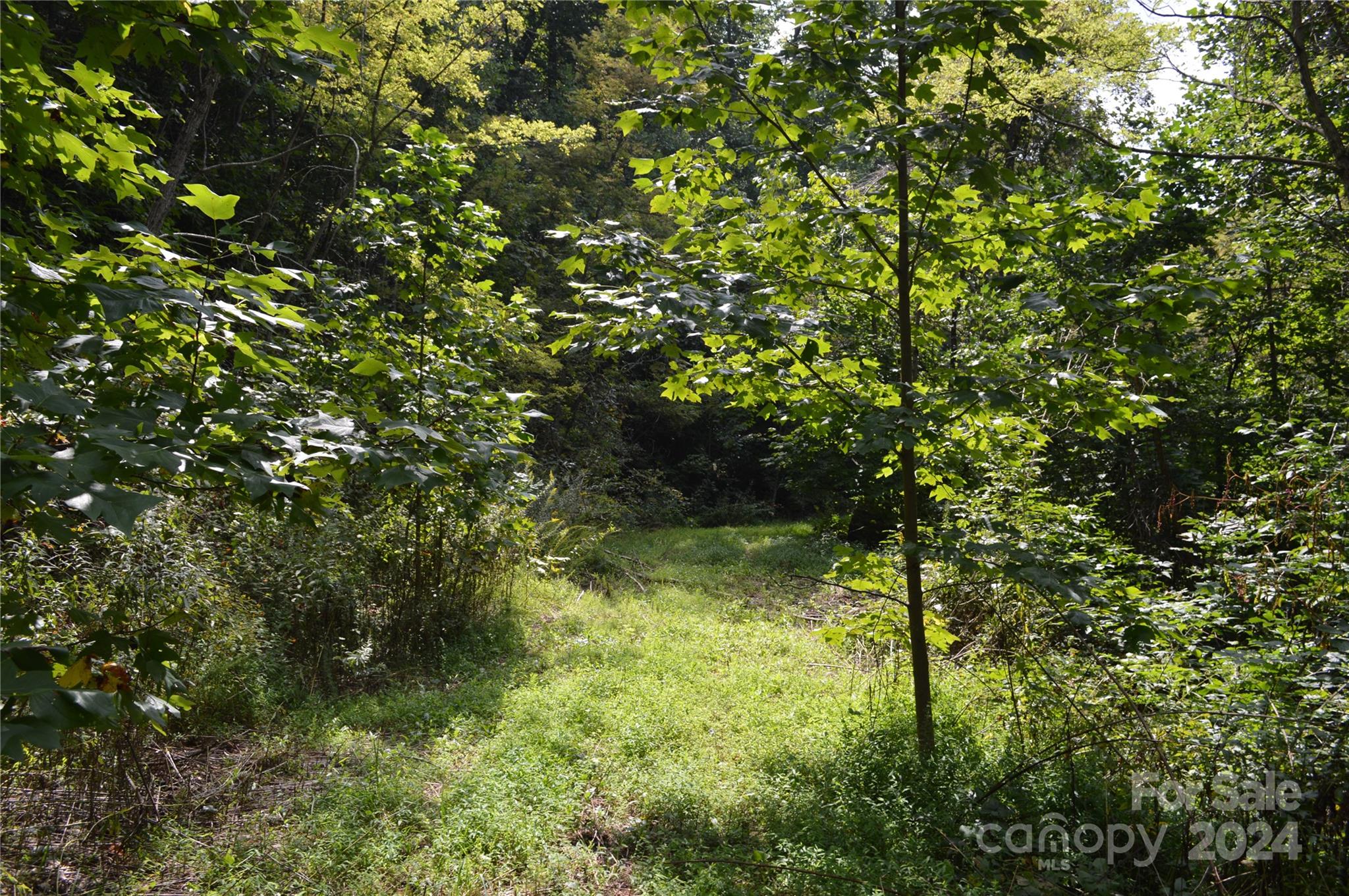 Lot at 9999 Still Spring Road, Black Mountain, photo 8 of 11