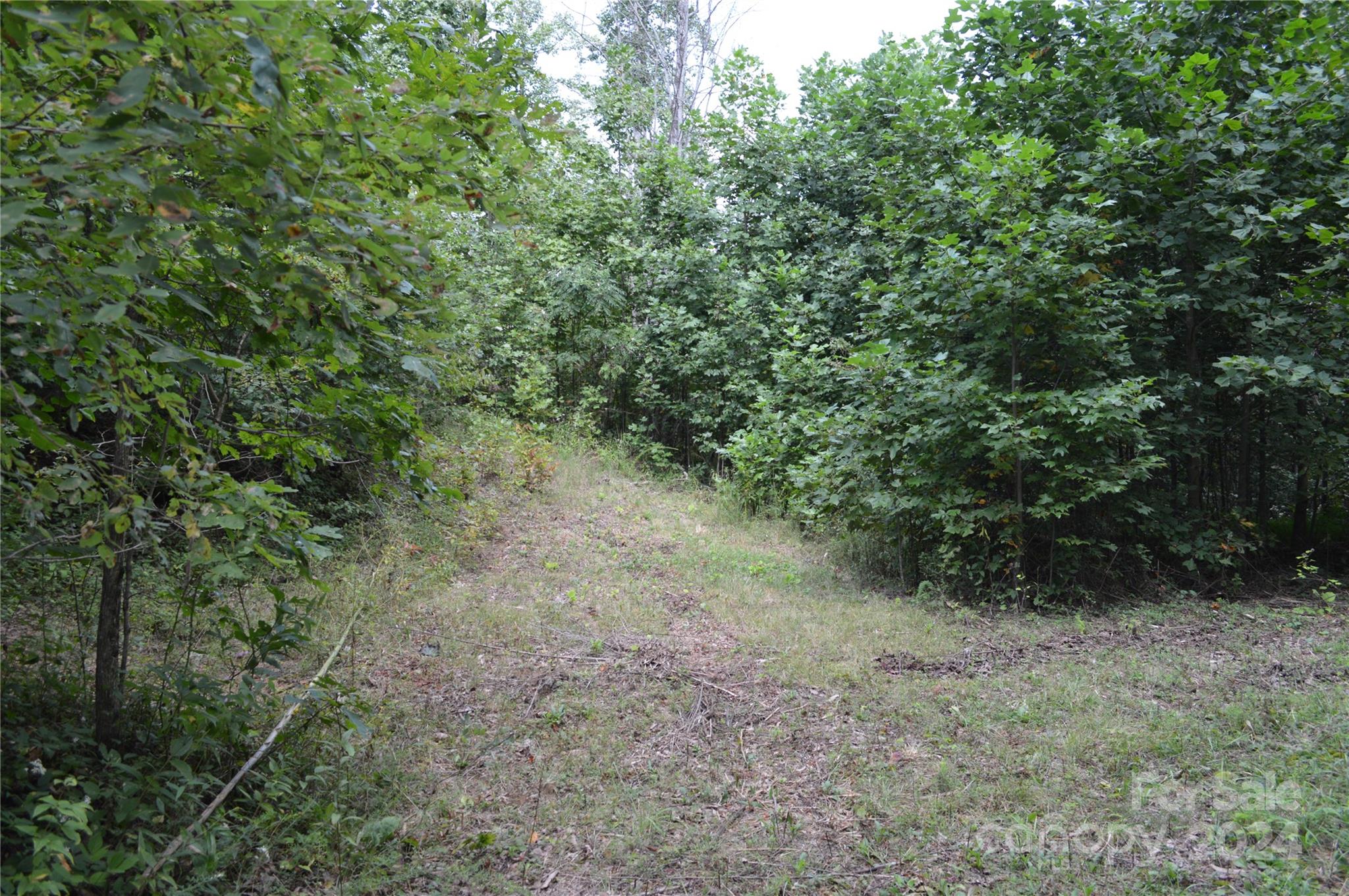 Lot at 9999 Still Spring Road, Black Mountain, photo 10 of 11