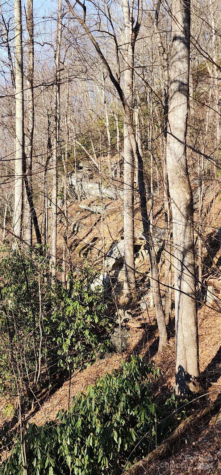 Lot at 9999 Still Spring Road, Black Mountain, photo 6 of 11
