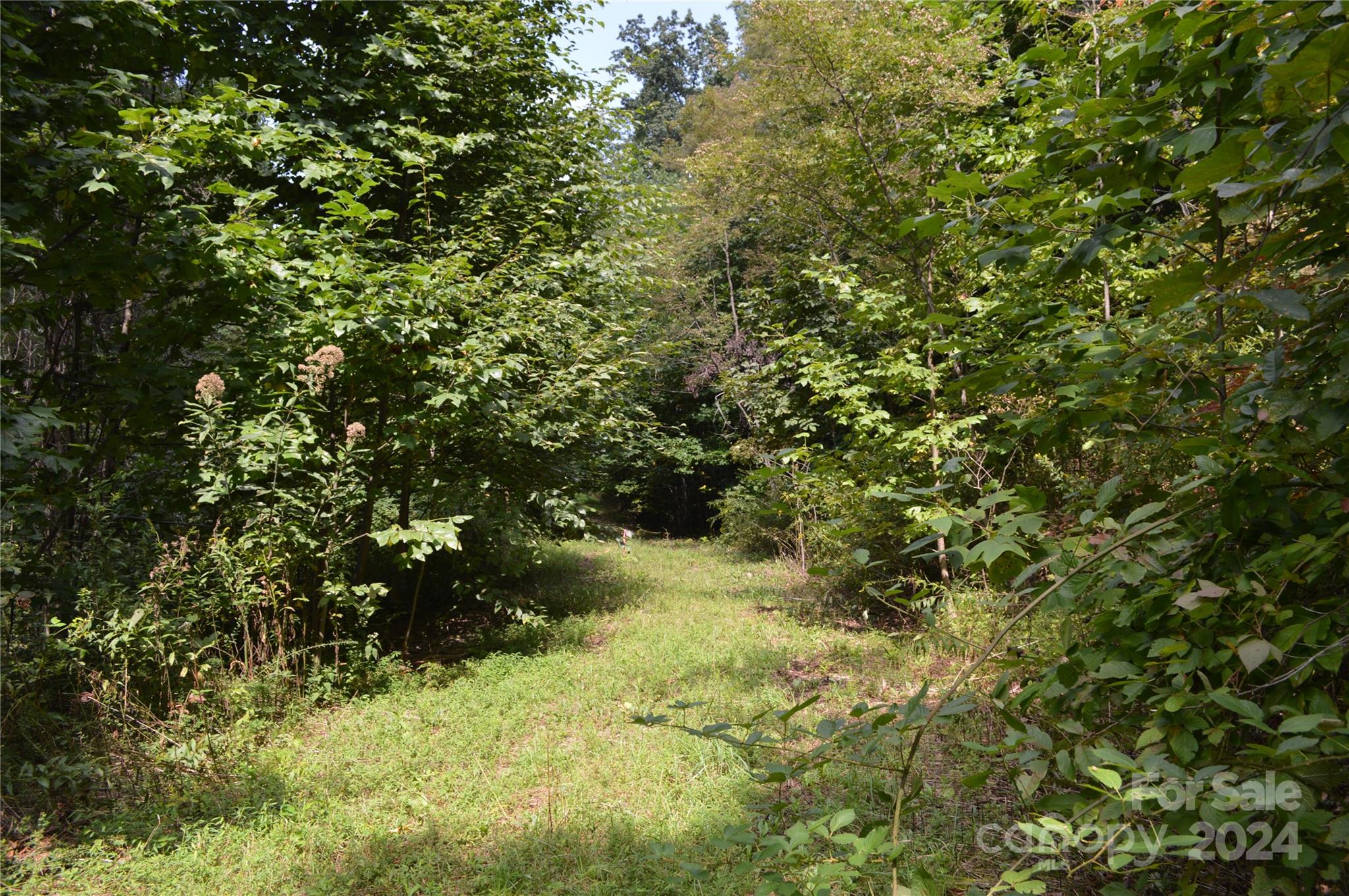 Lot at 9999 Still Spring Road, Black Mountain, photo 5 of 11