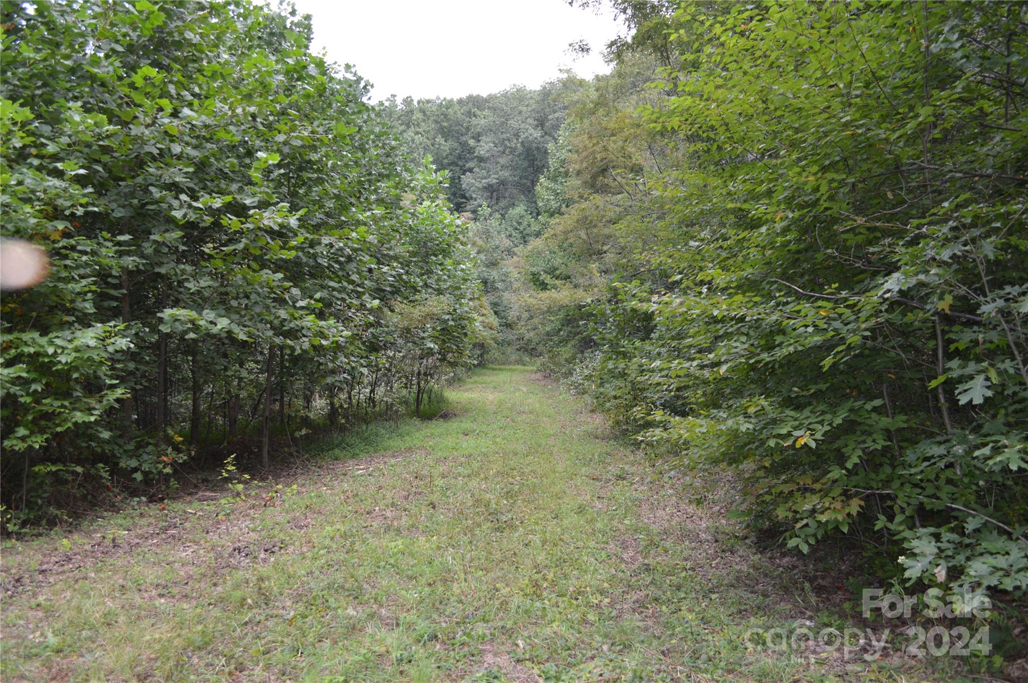 Lot at 9999 Still Spring Road, Black Mountain, photo 7 of 11