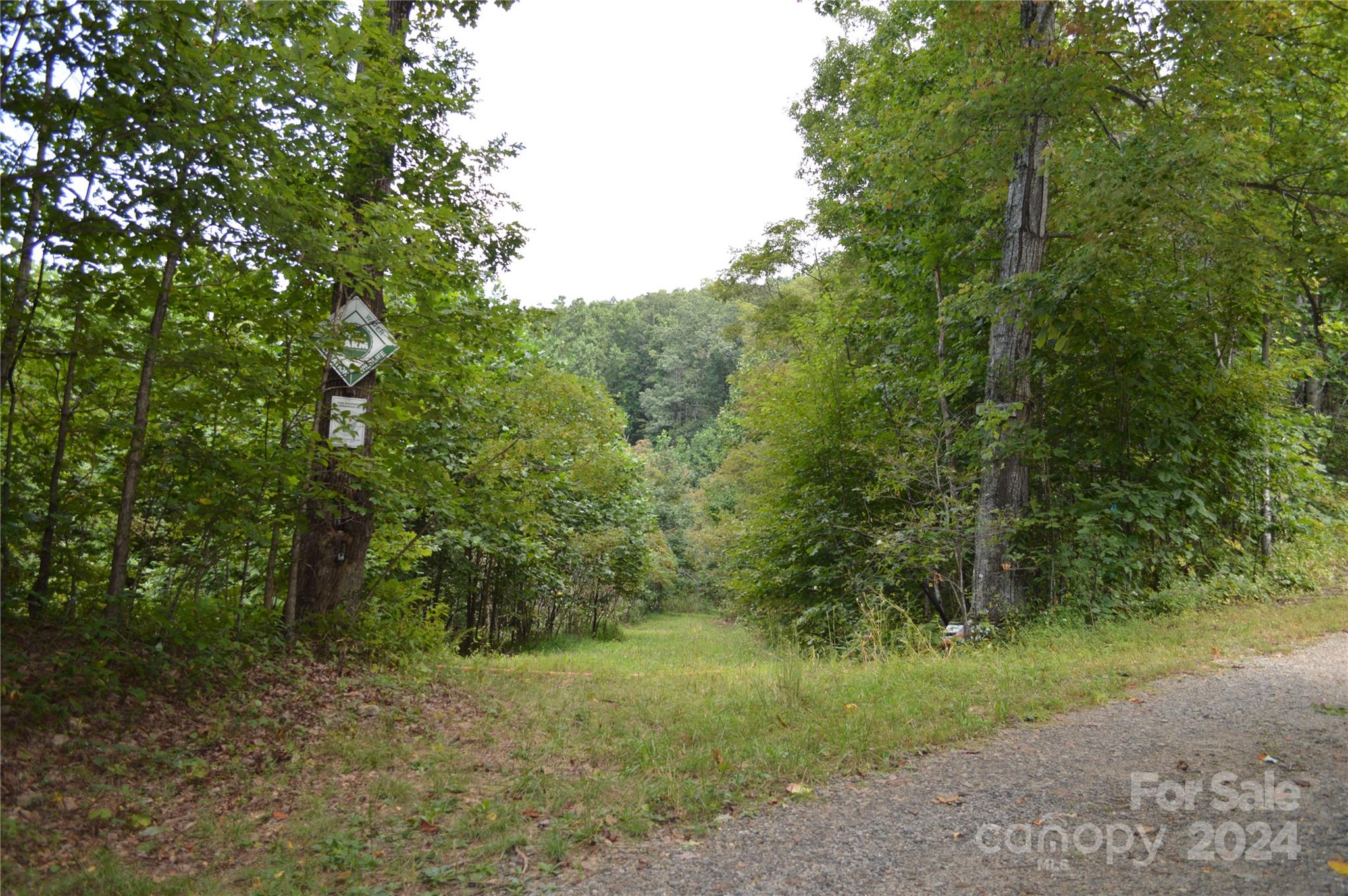 Lot at 9999 Still Spring Road, Black Mountain, photo 10 of 11