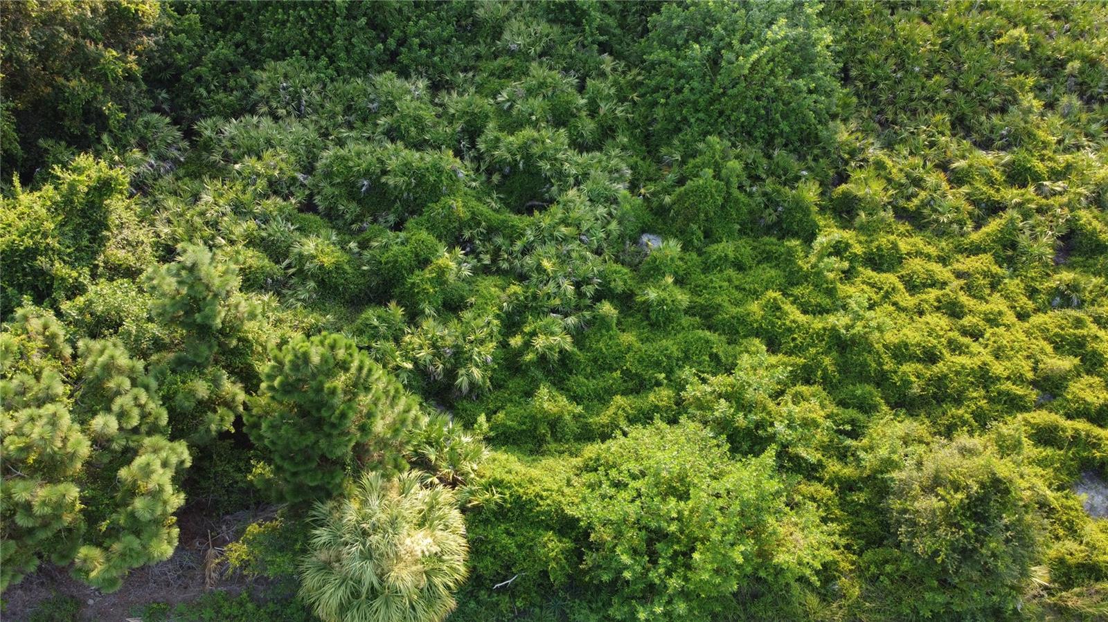 Land at Lot 30 CLOVELON ST, NORTH PORT, photo 8 of 22