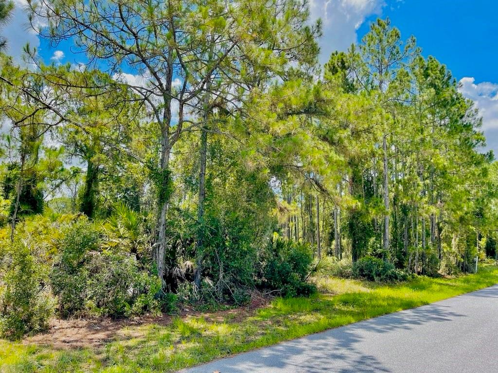 Land at Lot 2 ALWOOD ST, NORTH PORT, photo 8 of 10