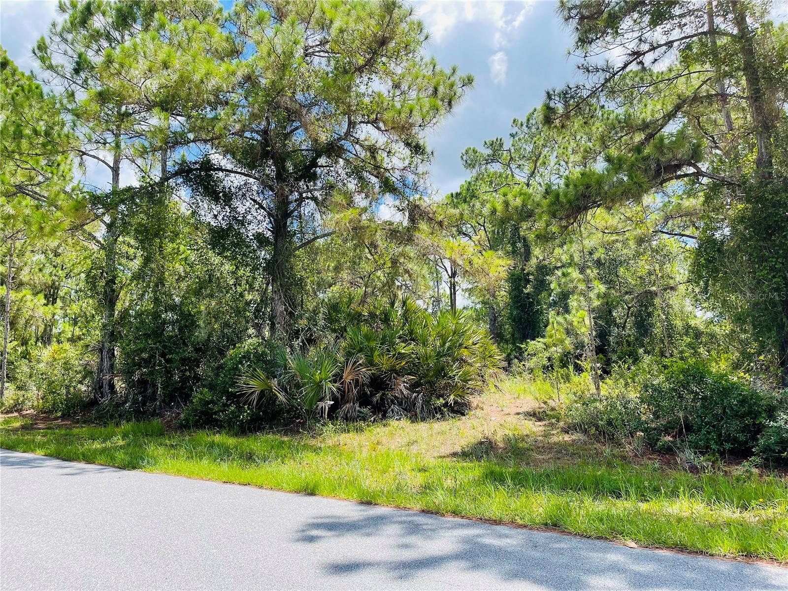 Land at Lot 2 ALWOOD ST, NORTH PORT, photo 9 of 10