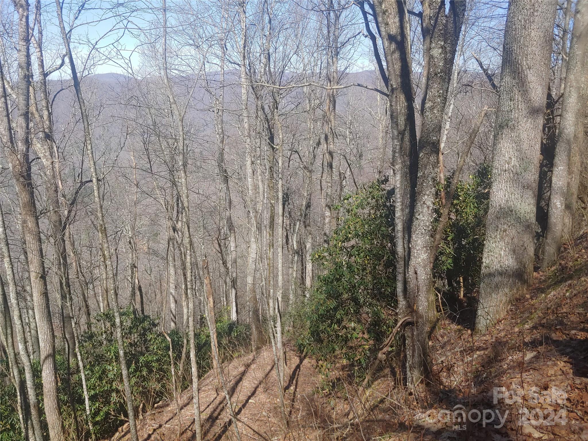 Lot at 34 Barn Cove Road, Clyde, photo 2 of 2