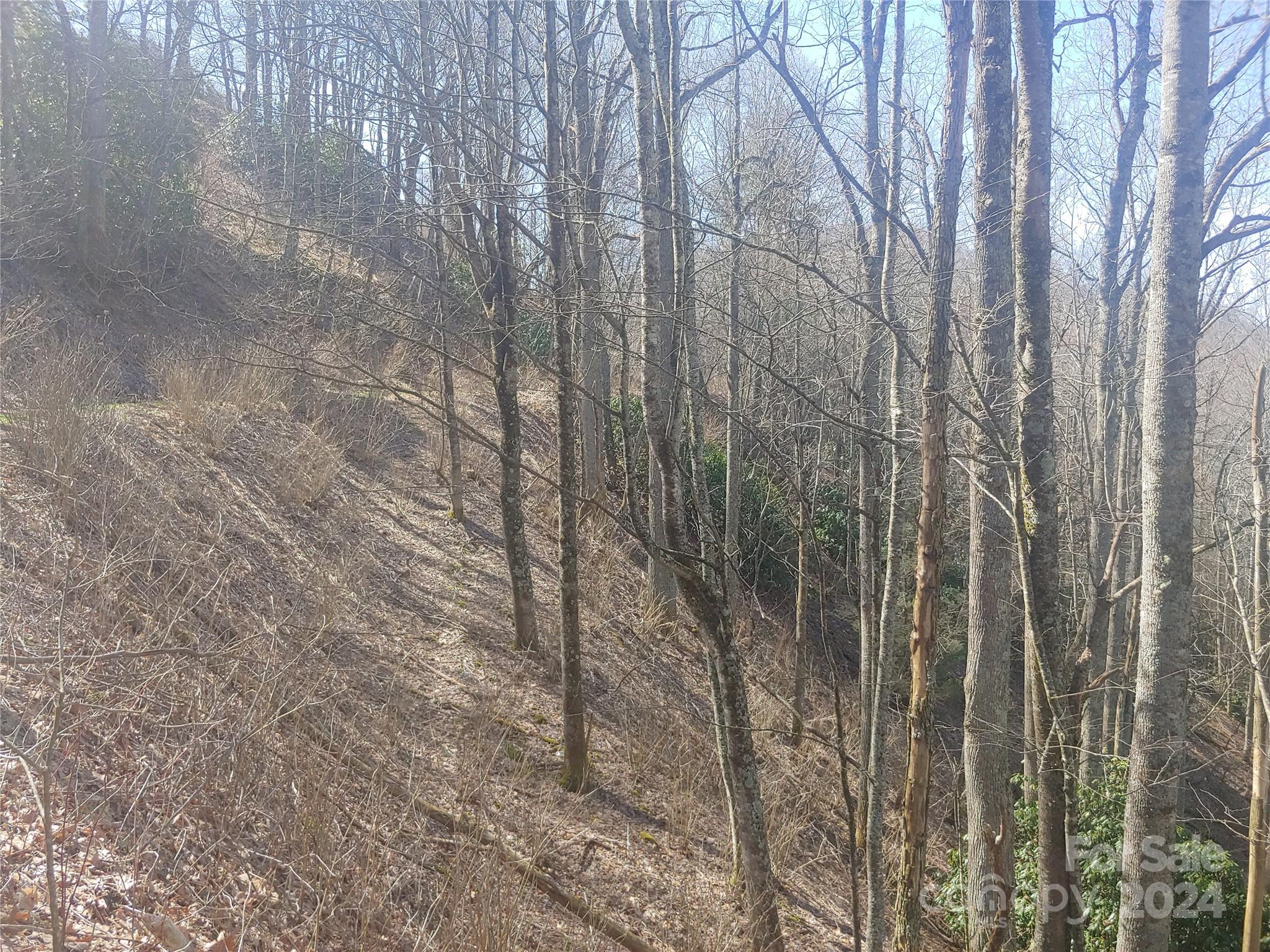 Lot at 38 Barn Cove Road, Clyde, photo 2 of 2