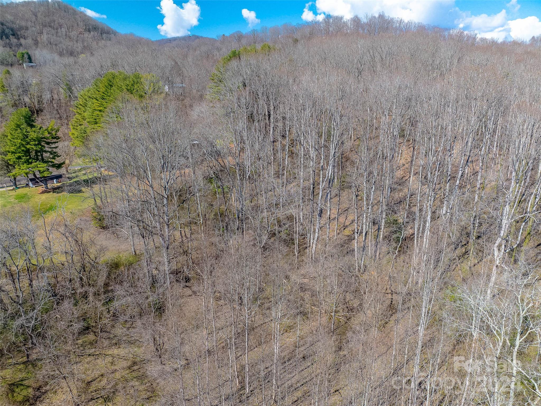 Lot at 00 Russ Avenue, Waynesville, photo 8 of 8