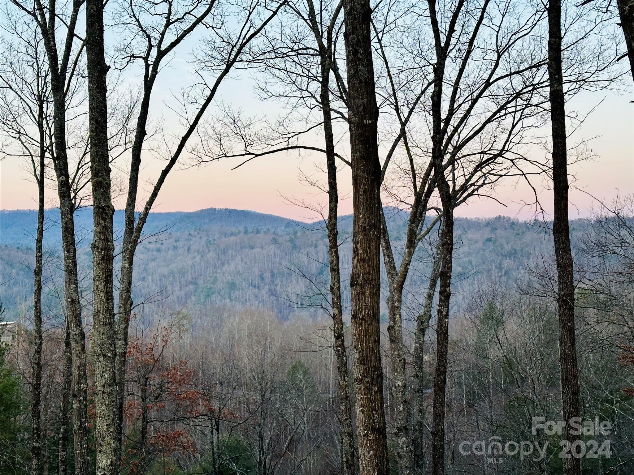 Lot at 75 Raccoon Run, Marshall, photo 2 of 20