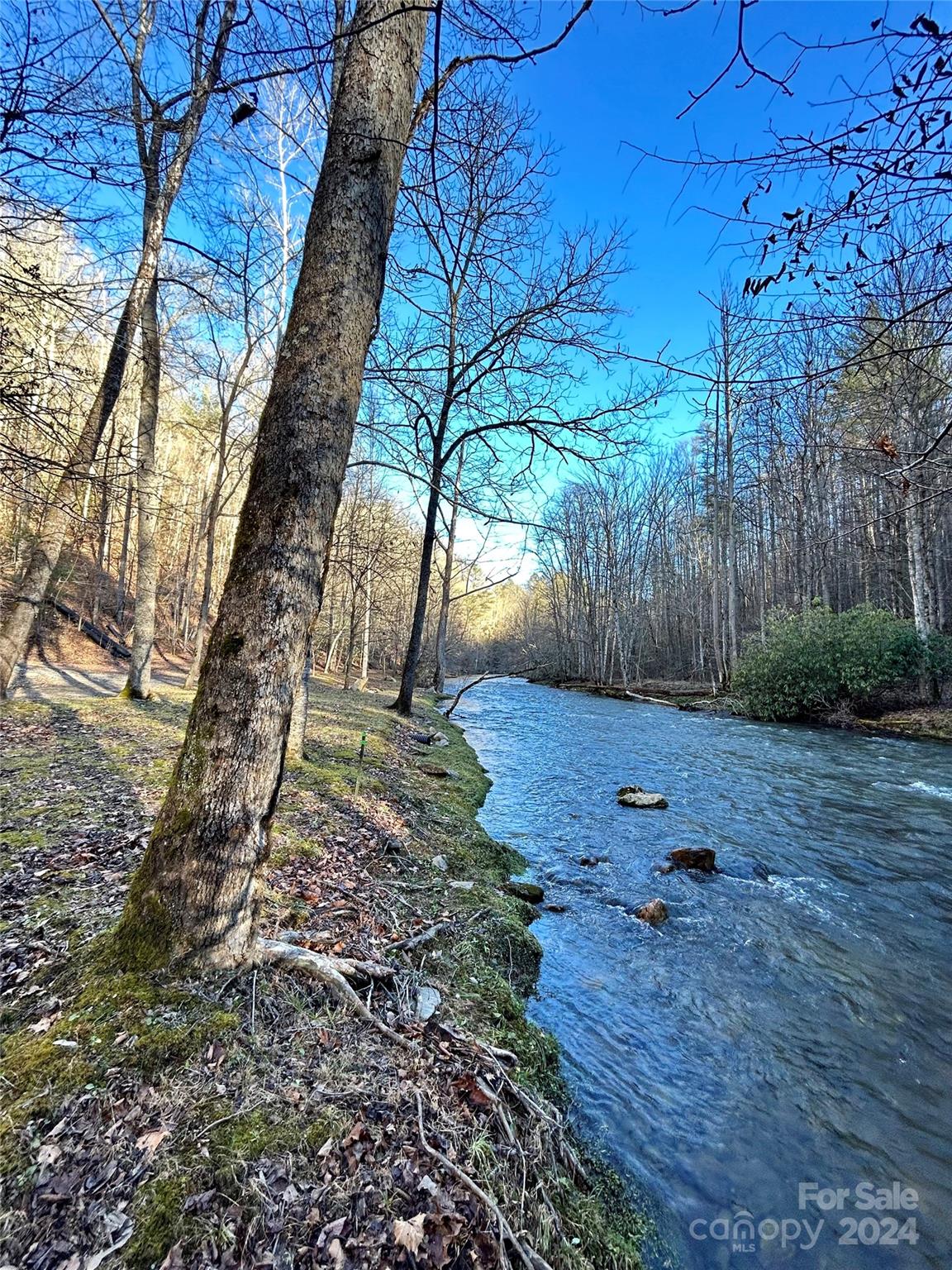 Lot at 275 Overlook Lane, Marshall, photo 21 of 22