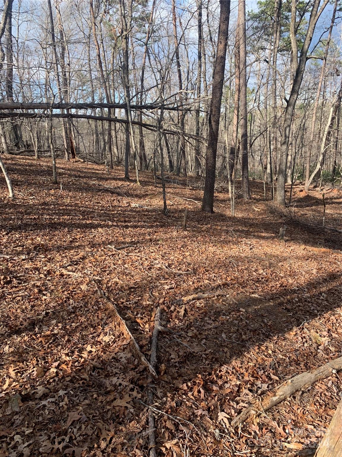 Acreage at 0 N Lynch Road SW, Mill Spring, photo 2 of 17